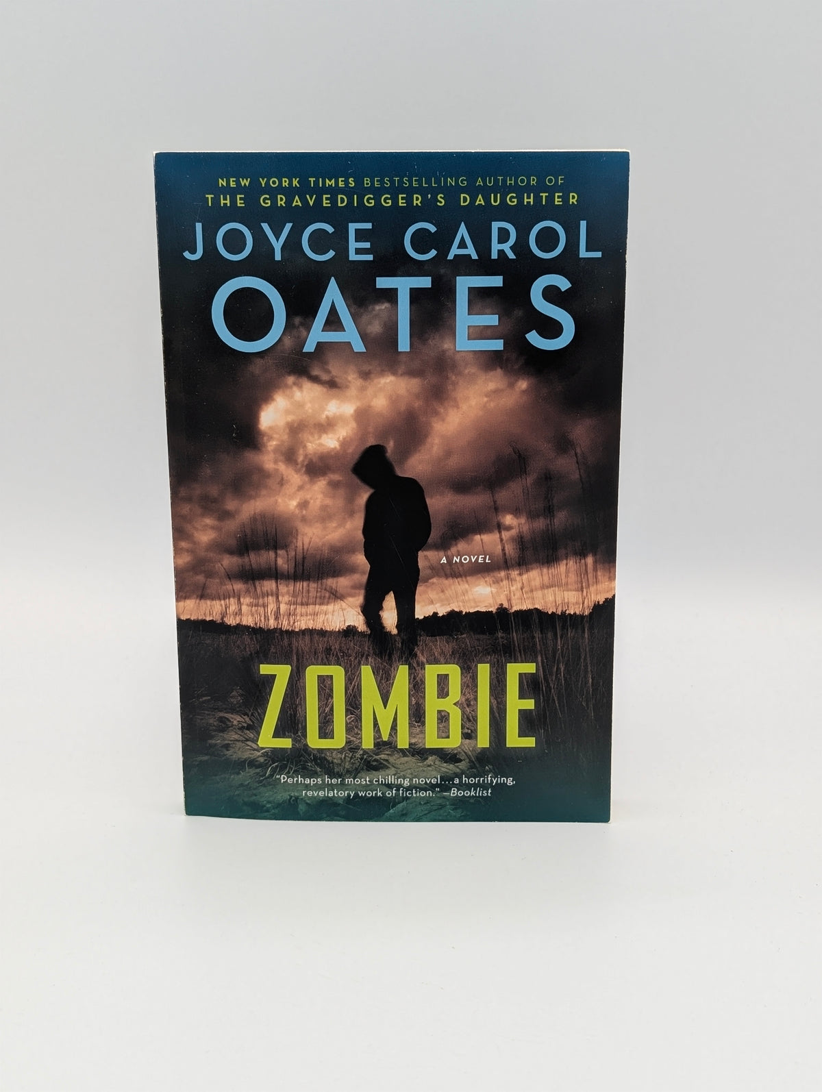 Zombie: A Novel