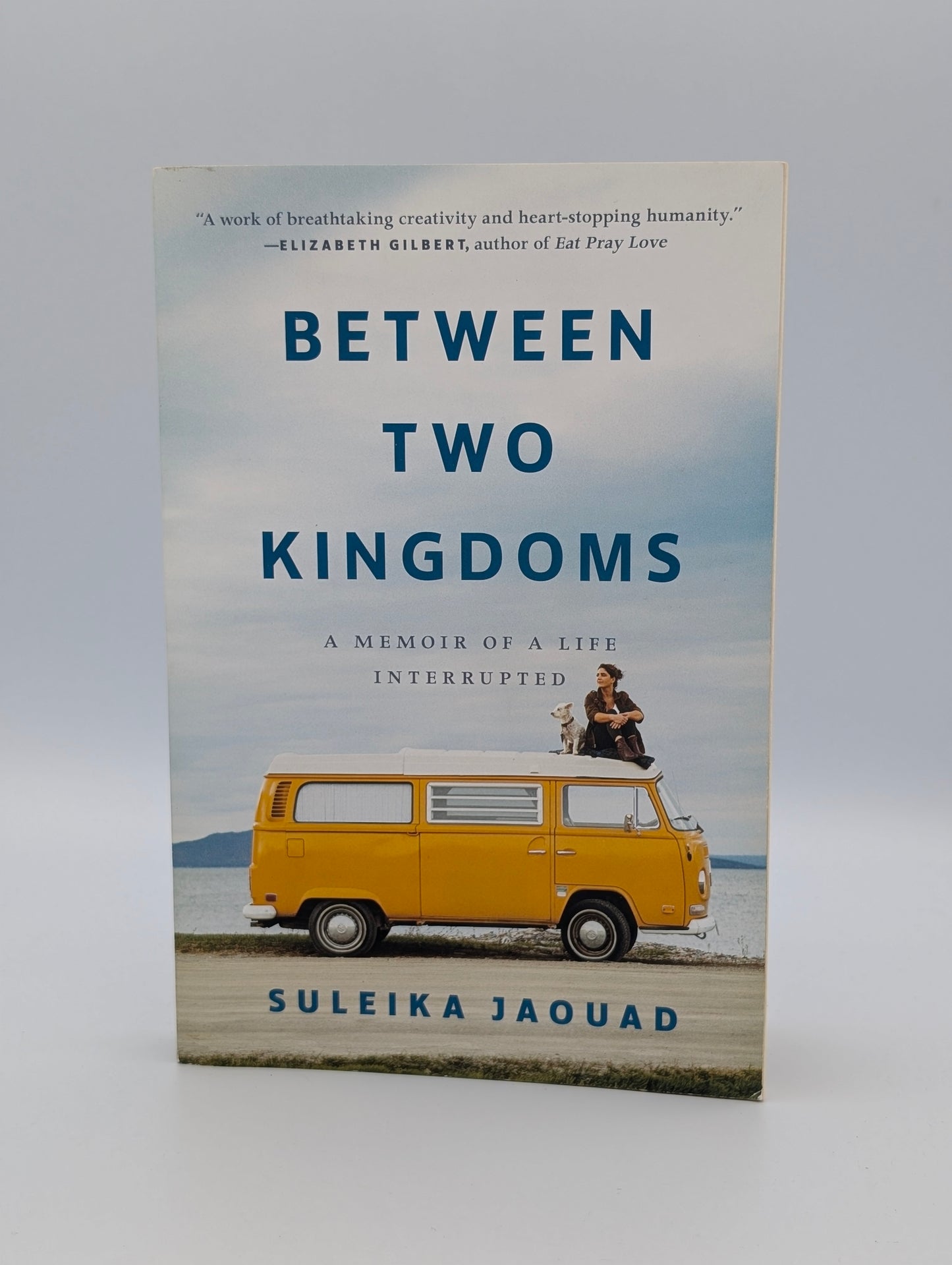 Between Two Kingdoms: A Memoir of a Life Interrupted