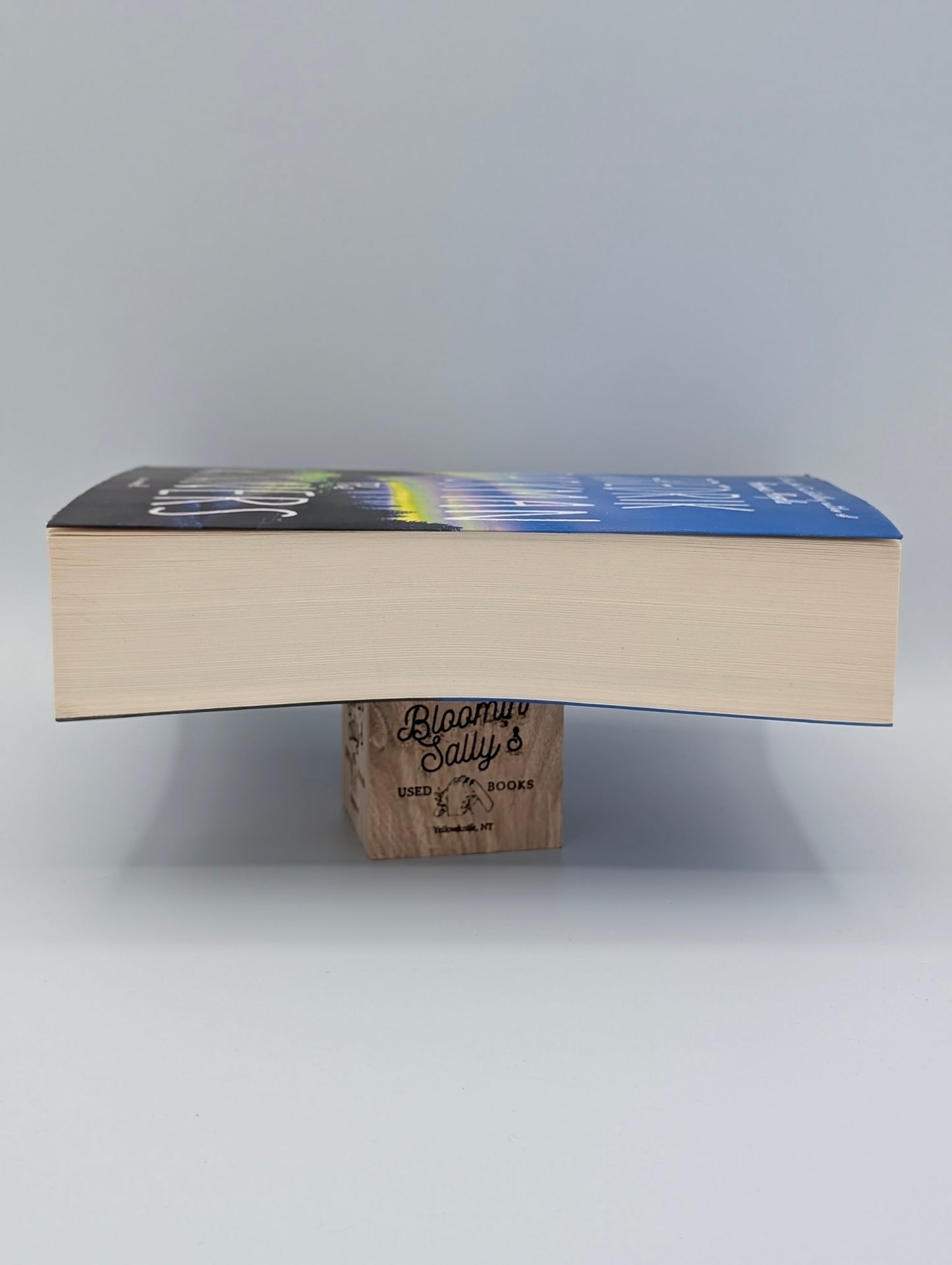 The Winners: A Novel