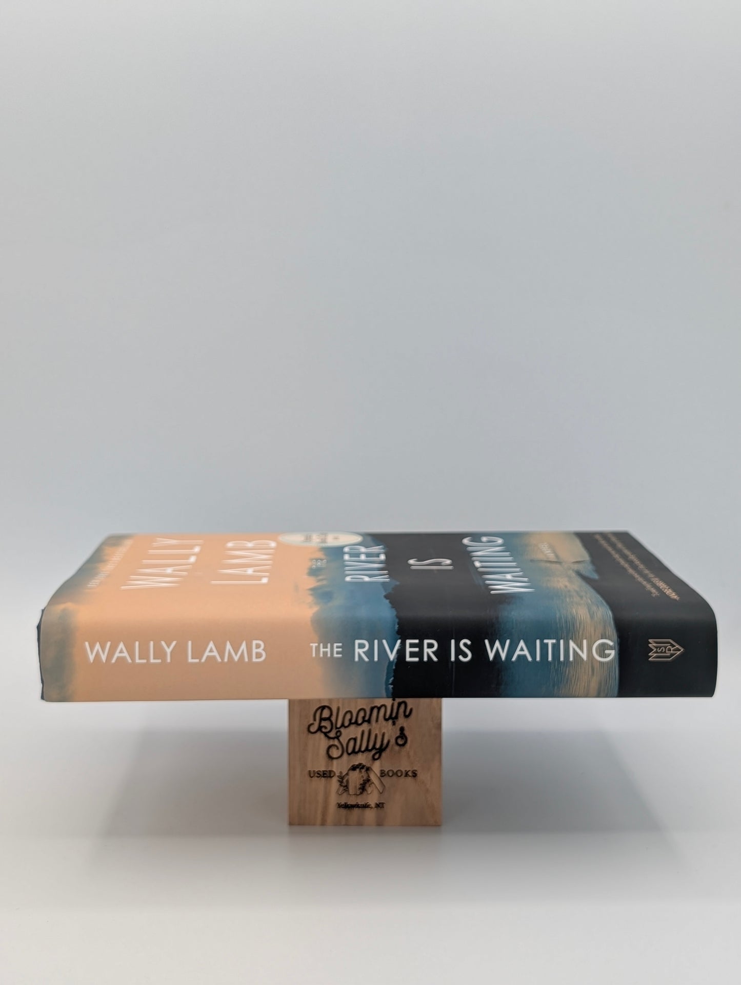 The River Is Waiting: A Novel