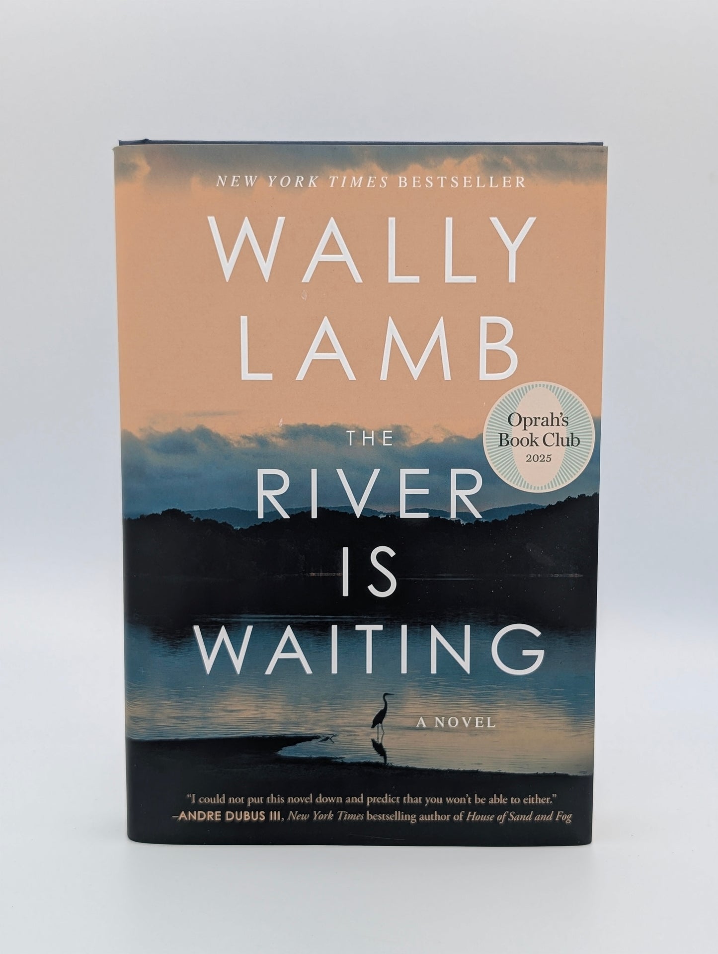 The River Is Waiting: A Novel
