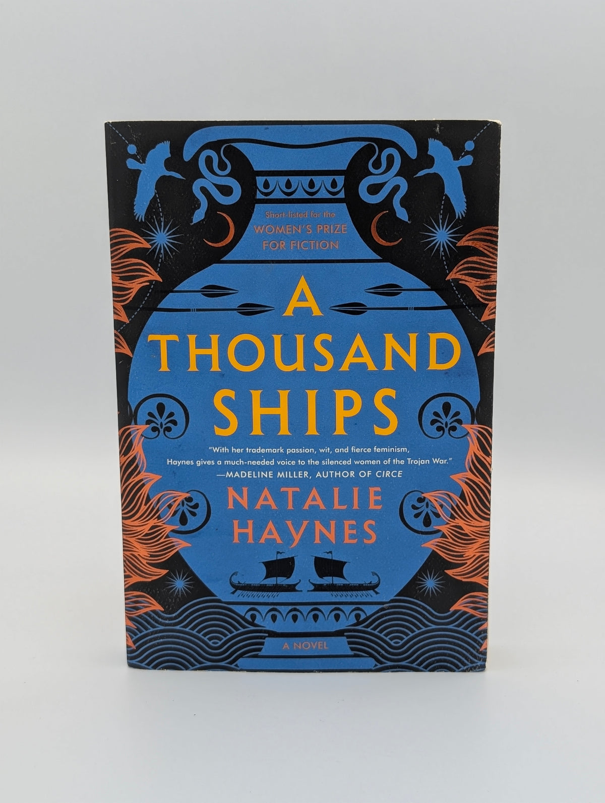 A Thousand Ships: A Novel