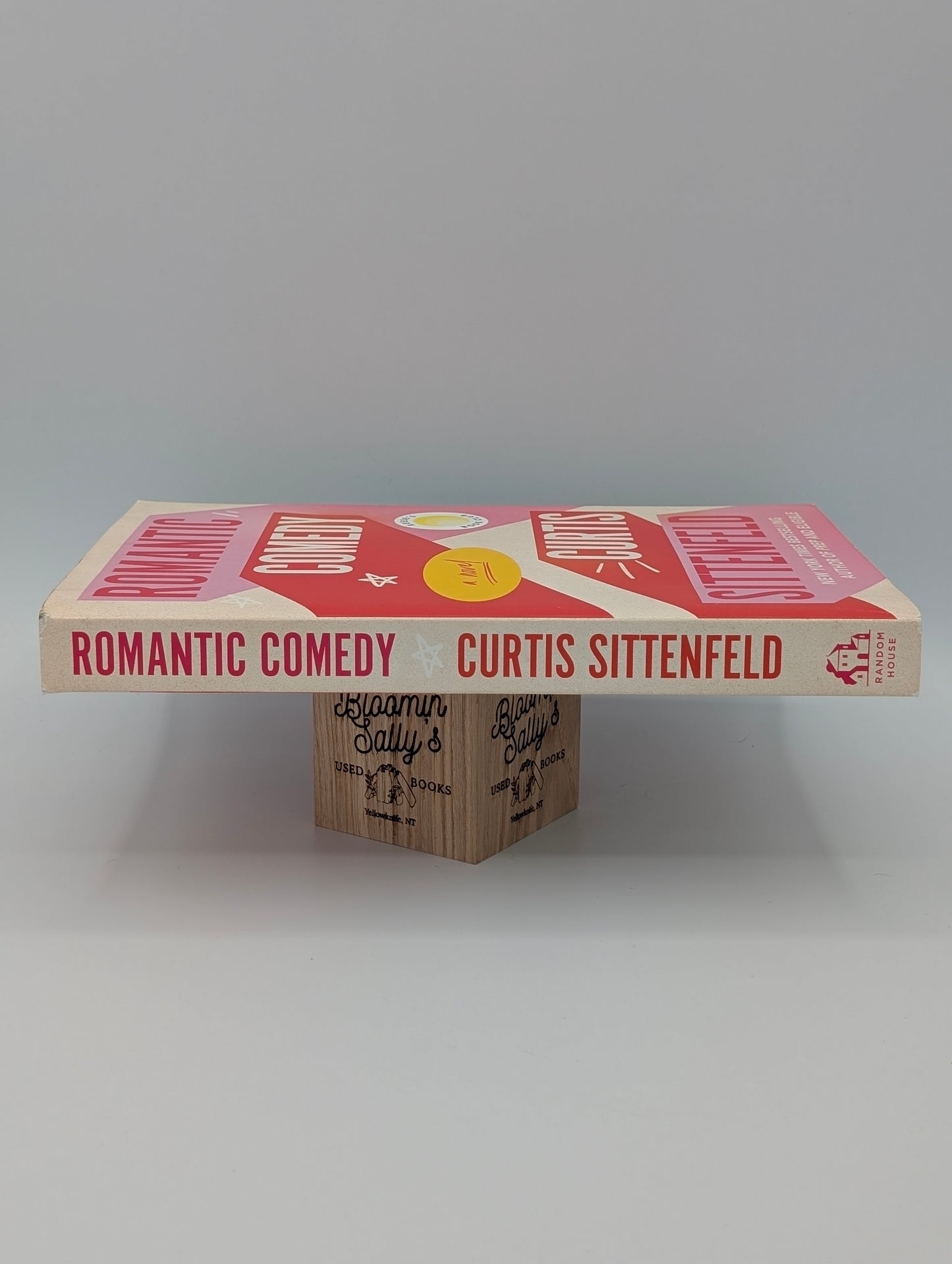 Romantic Comedy: A Novel
