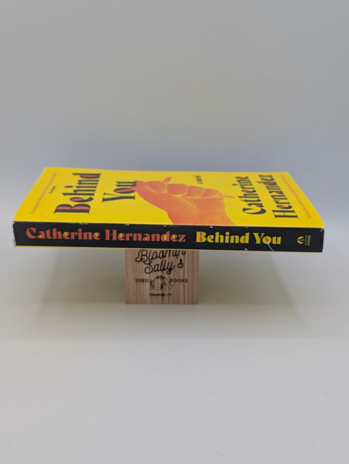 Behind You: A Novel