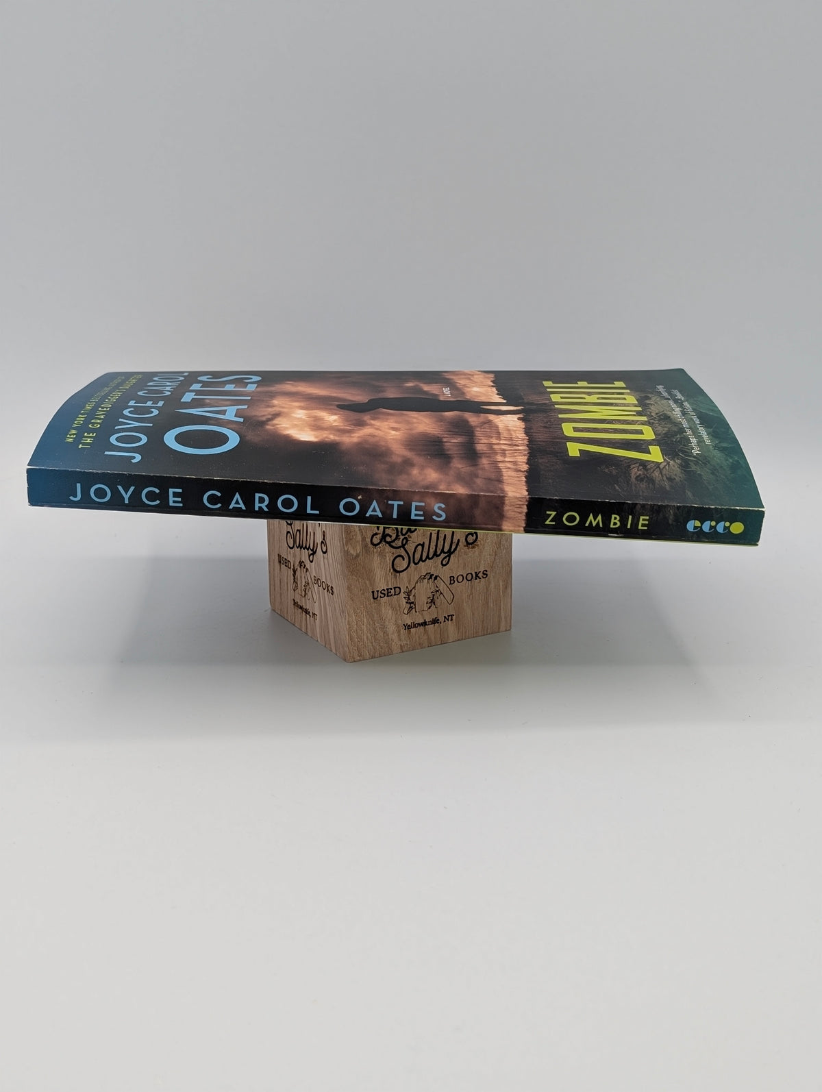 Zombie: A Novel