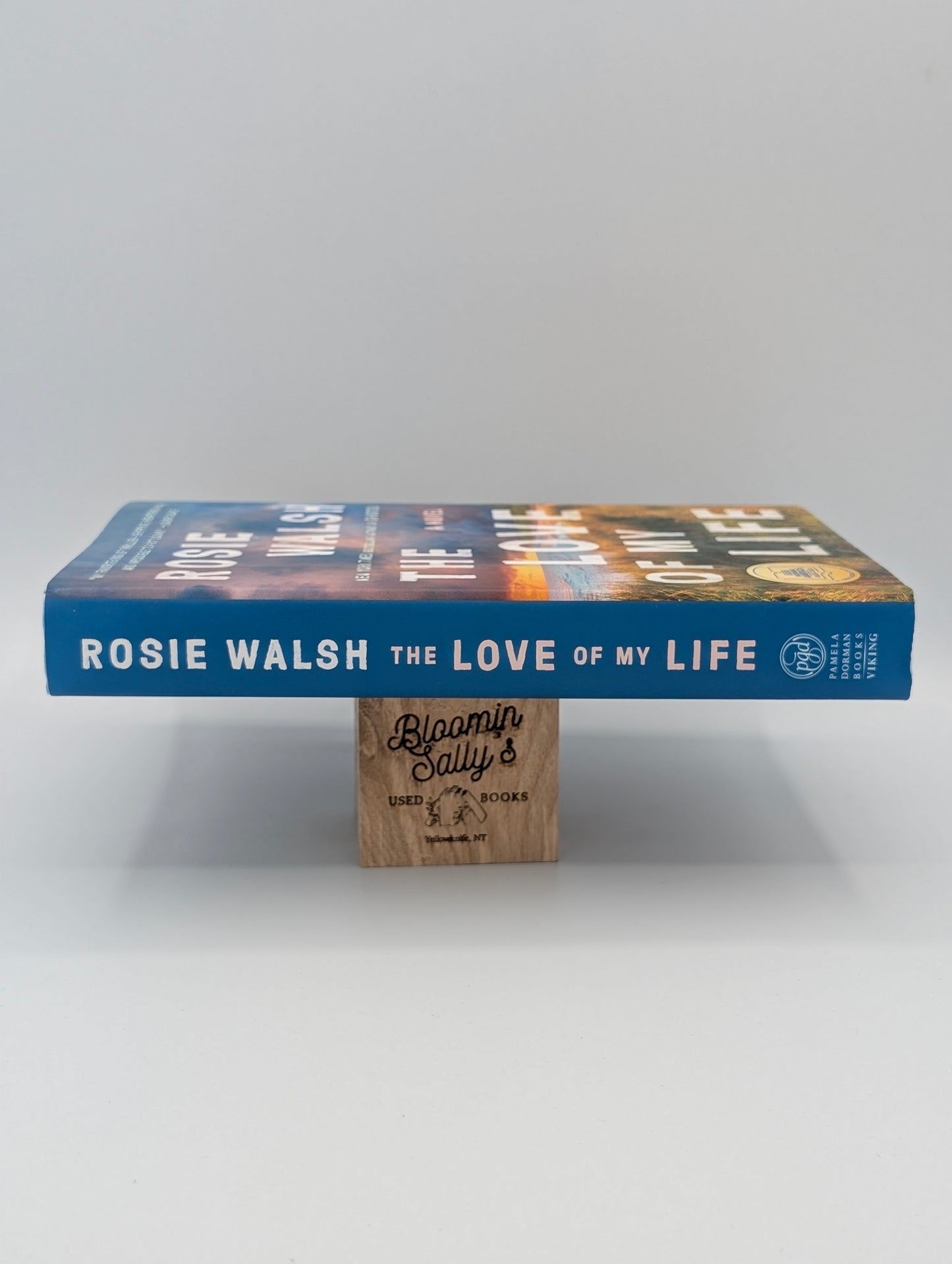 The Love of My Life: A Novel (A GMA Book Club Pick)