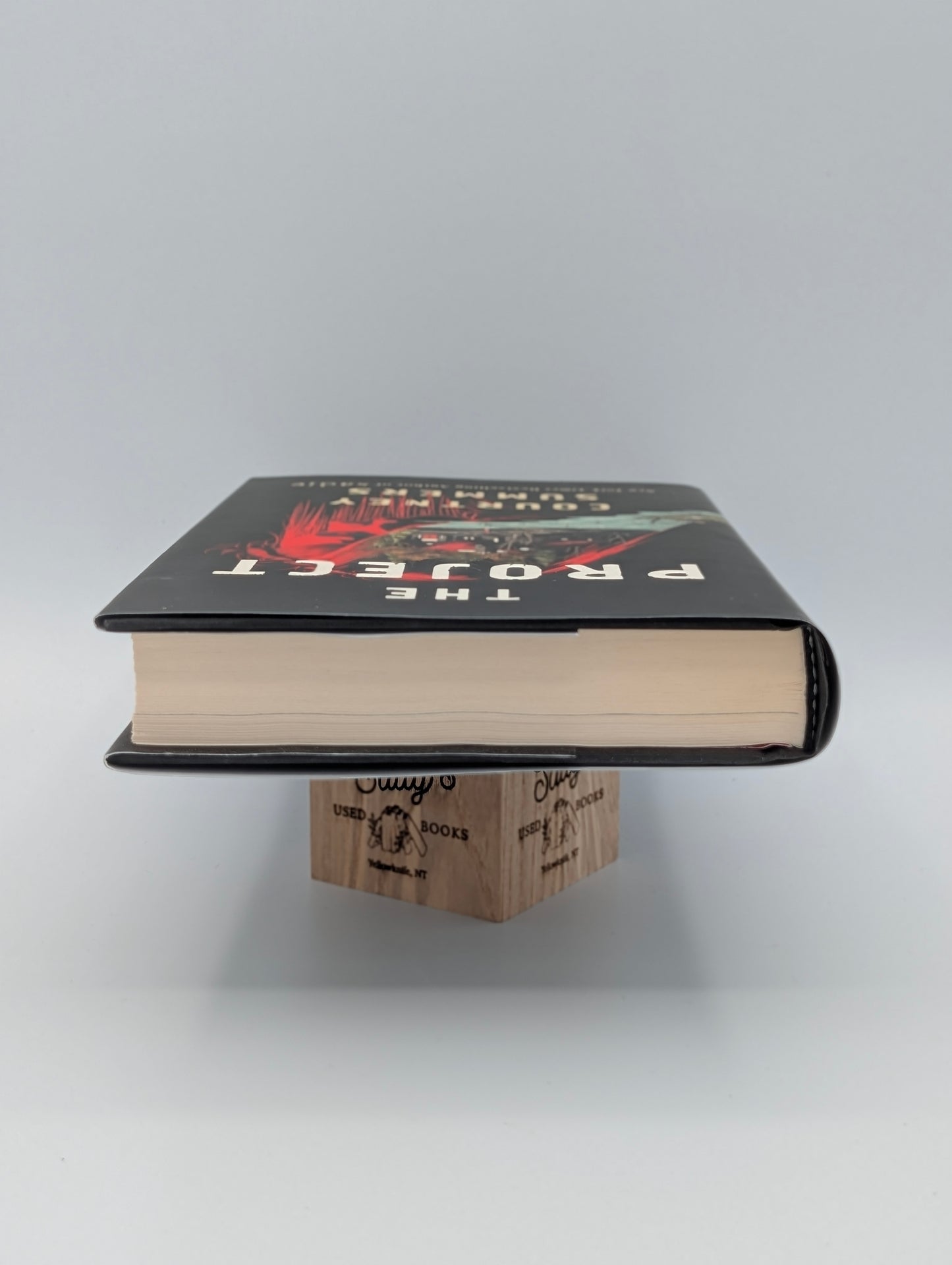 The Project: A Novel