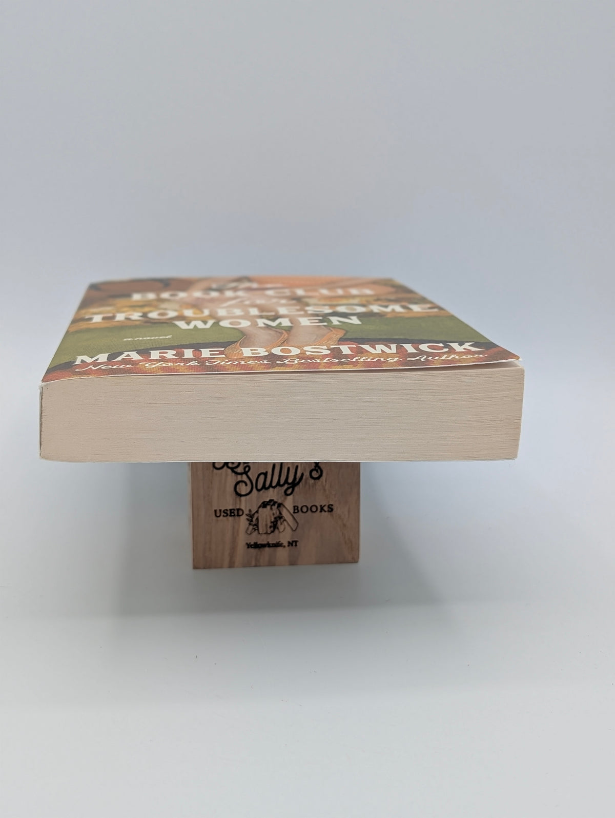 The Book Club for Troublesome Women: A Novel