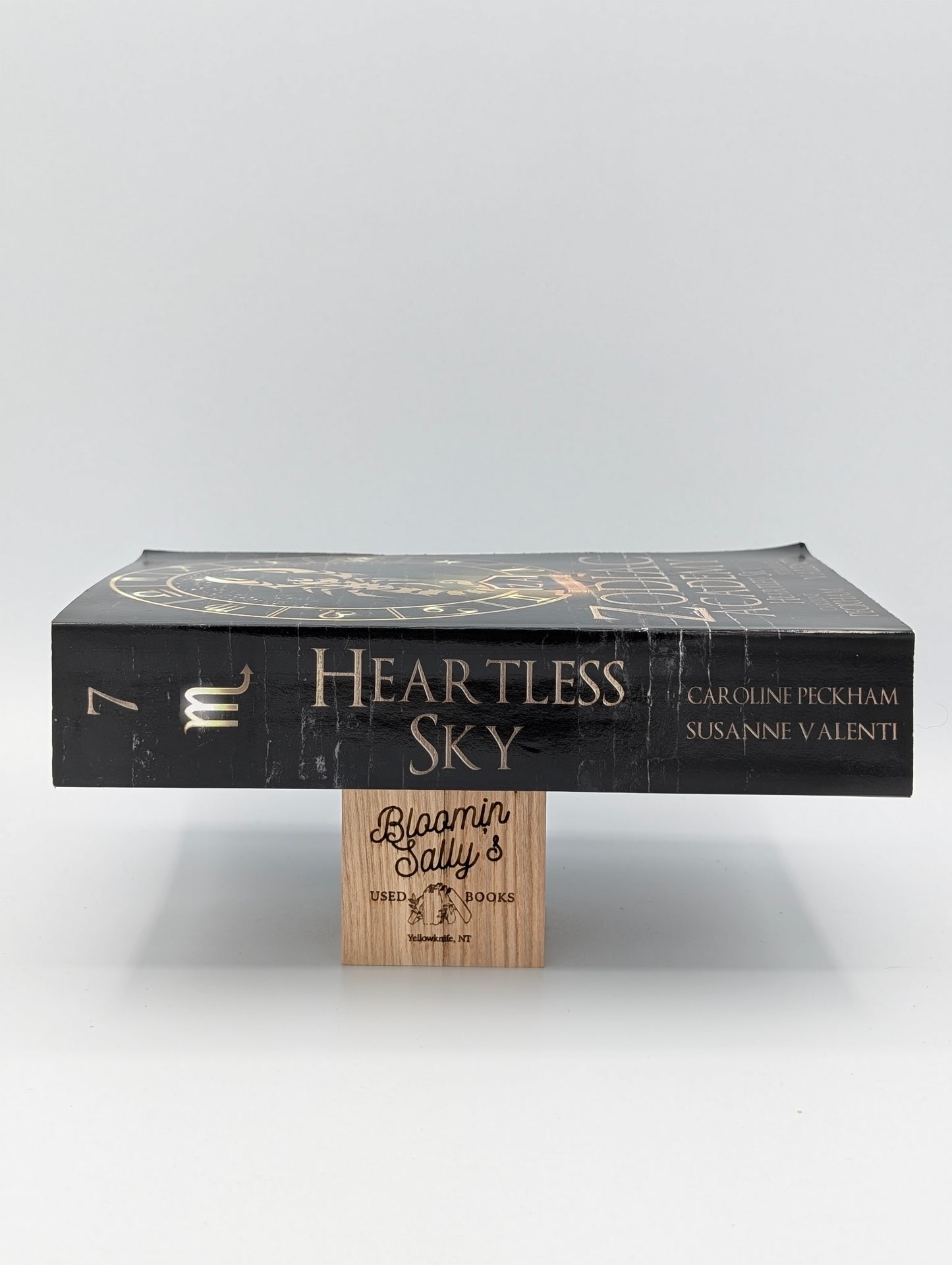 Zodiac Academy 7: Heartless Sky