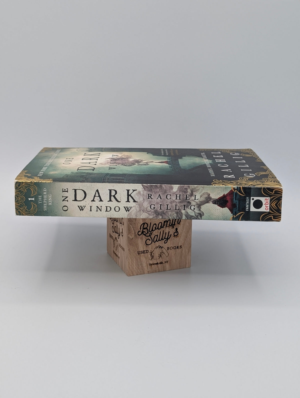 One Dark Window (The Shepherd King, 1)