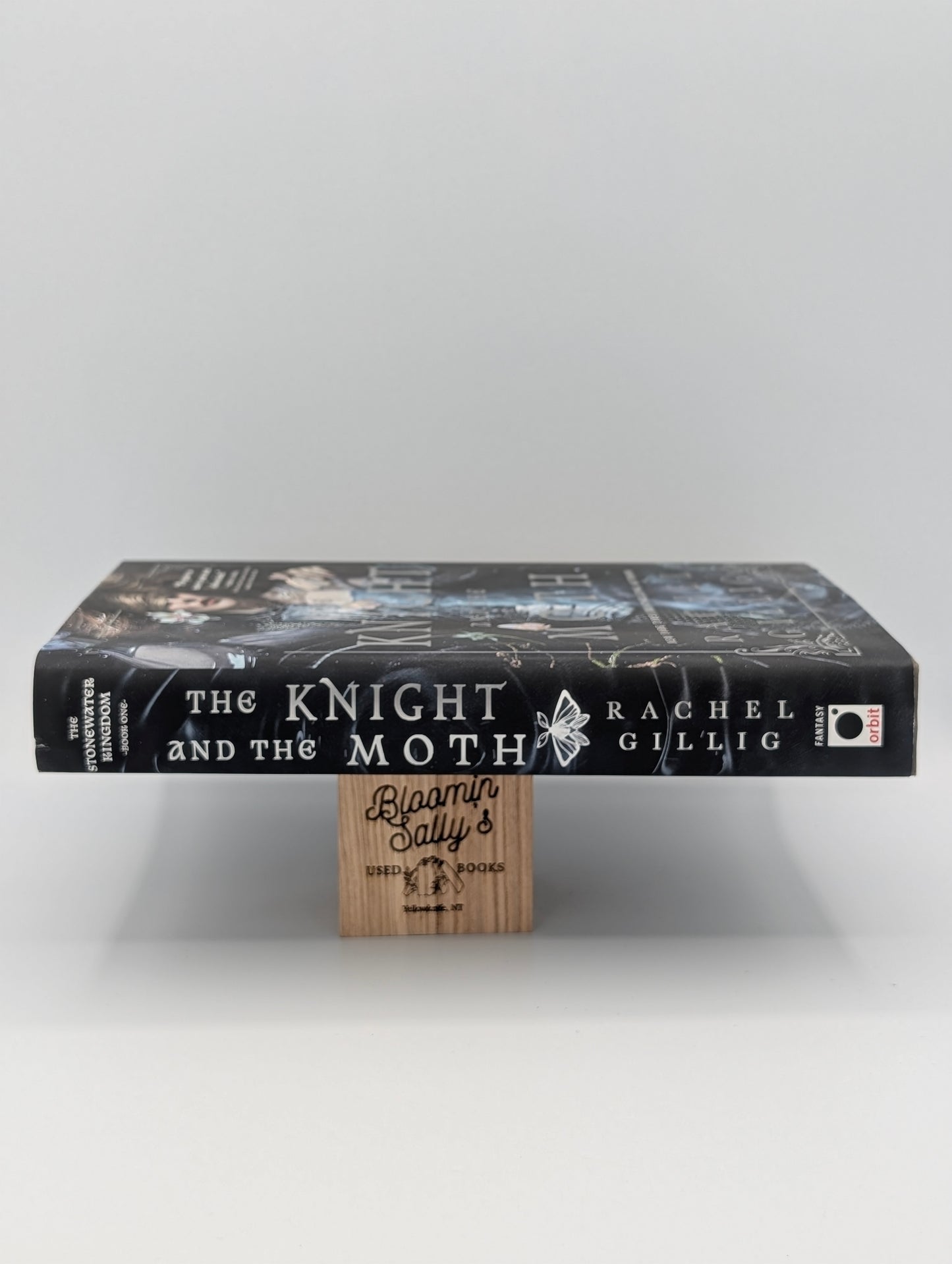 The Knight and the Moth (The Stonewater Kingdom, 1)