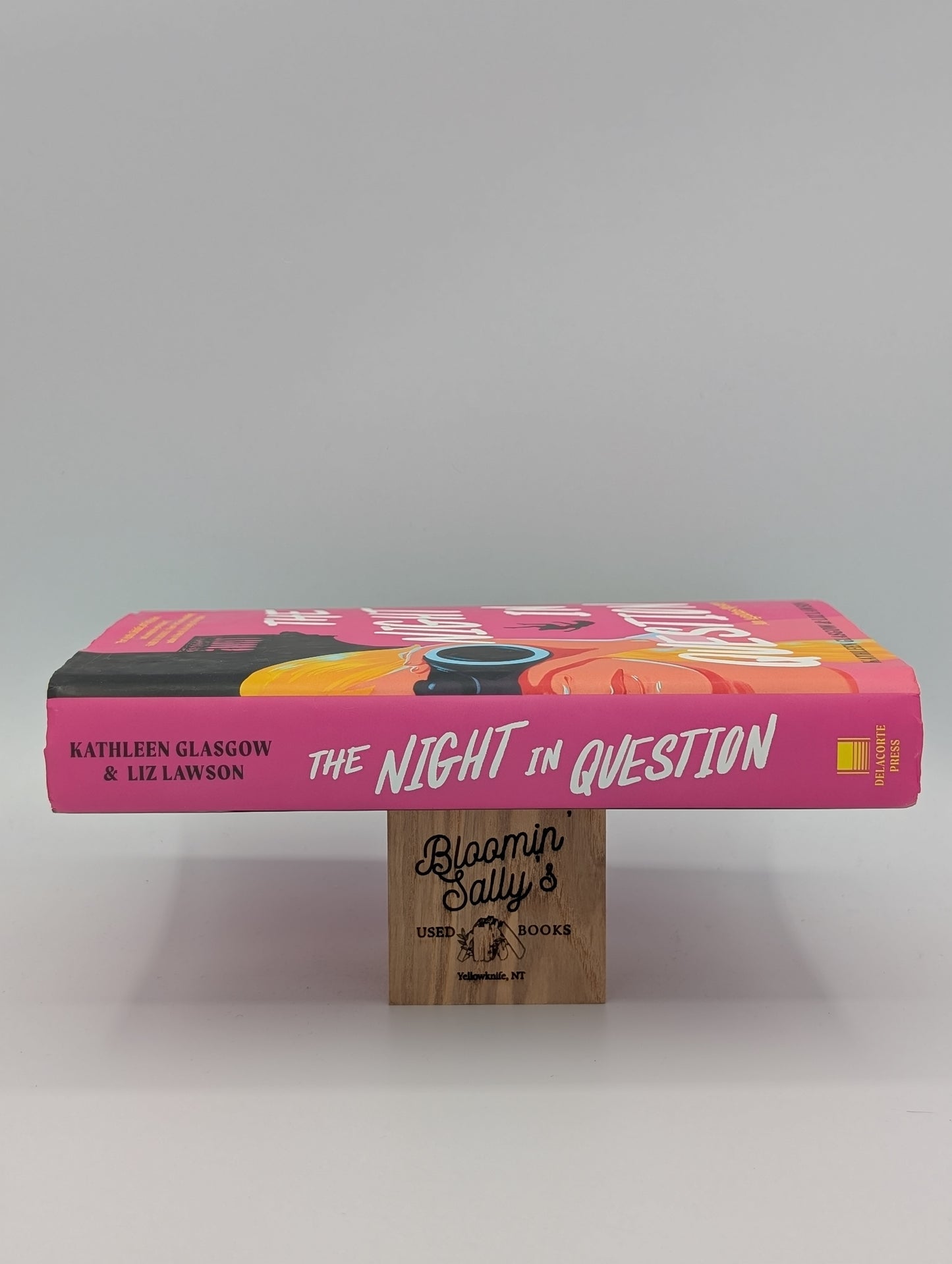 The Night in Question (An Agathas Mystery)
