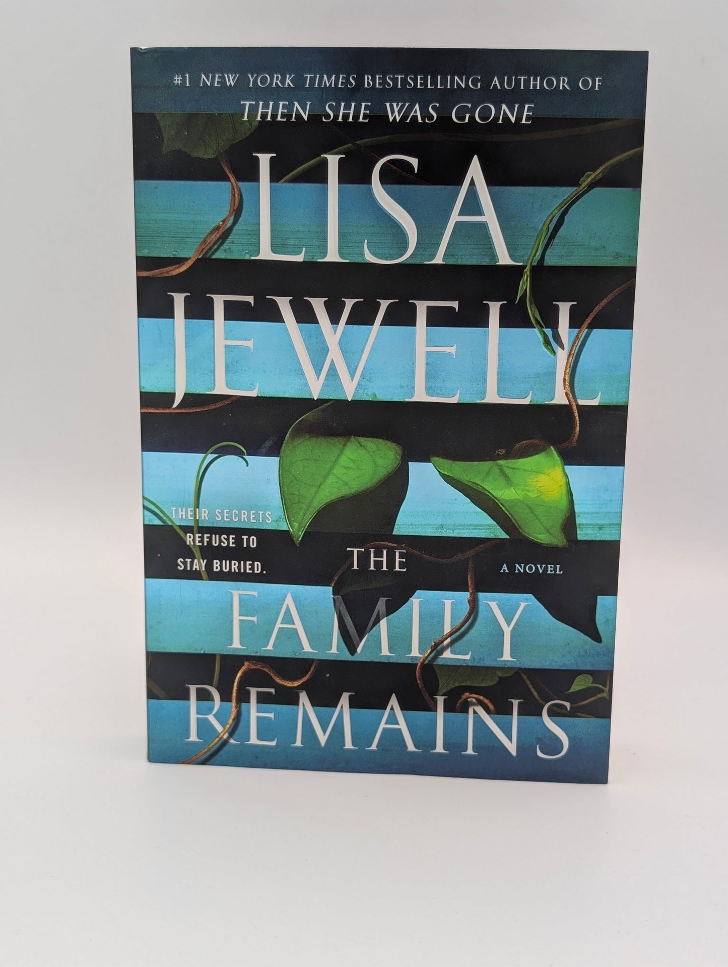 The Family Remains: A Novel
