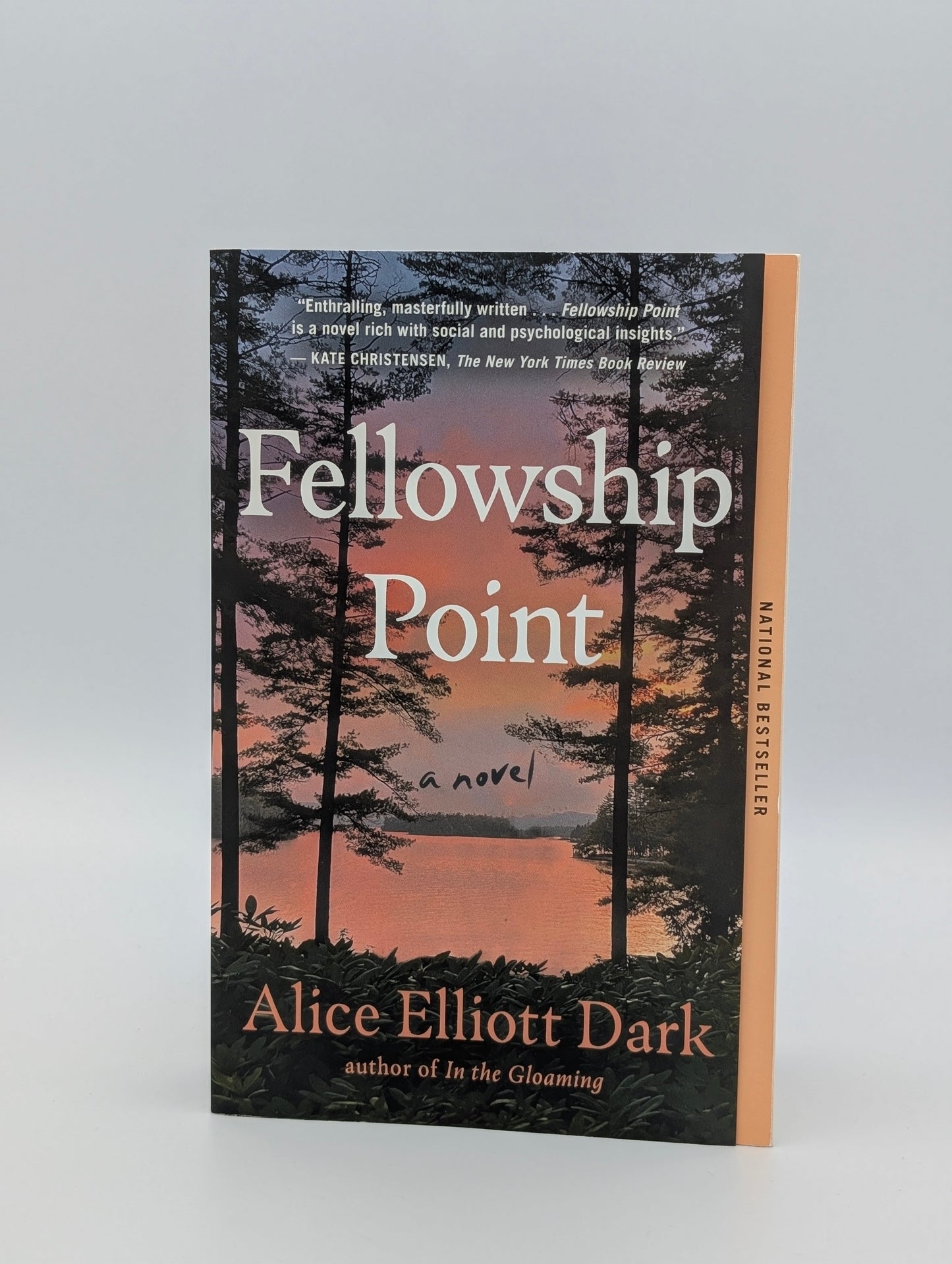 Fellowship Point: A Novel