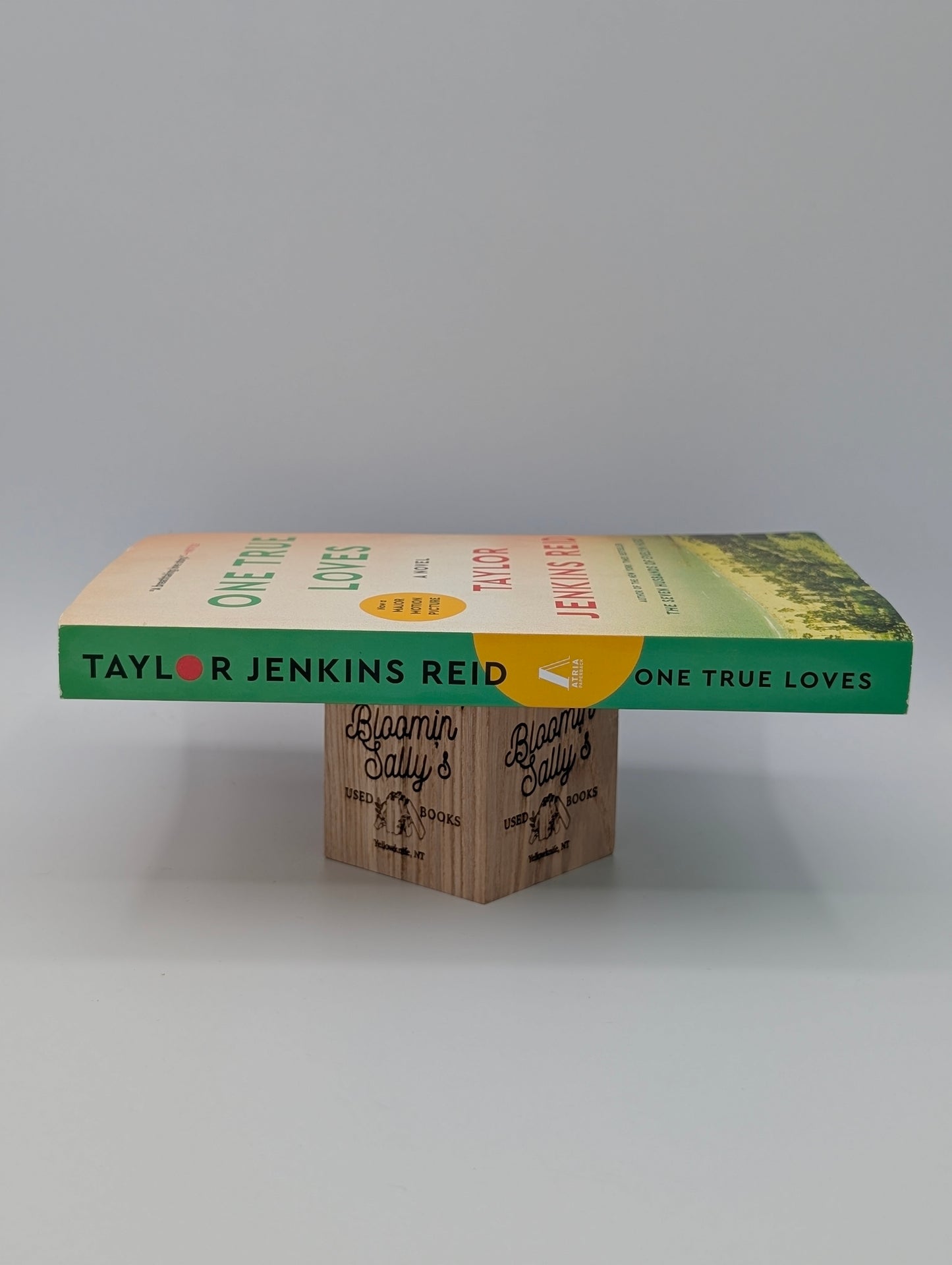 One True Loves: A Novel