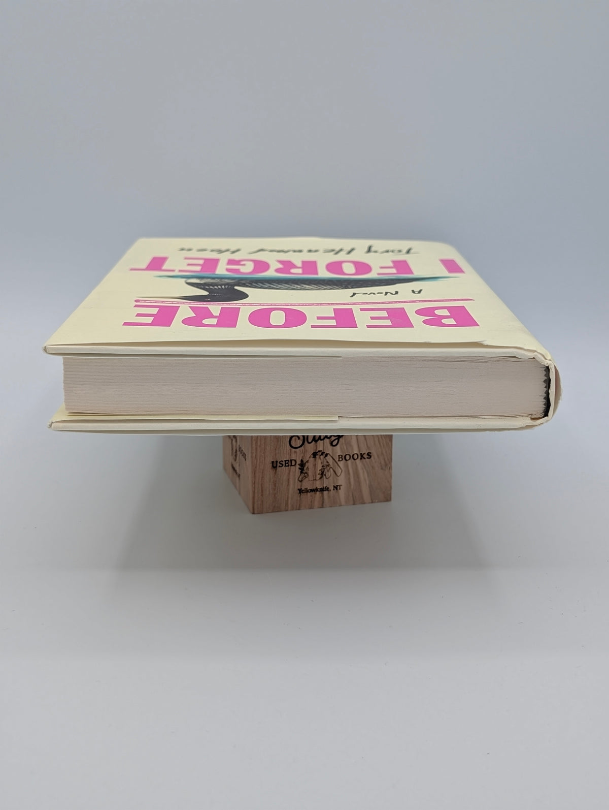 Before I Forget: A Novel