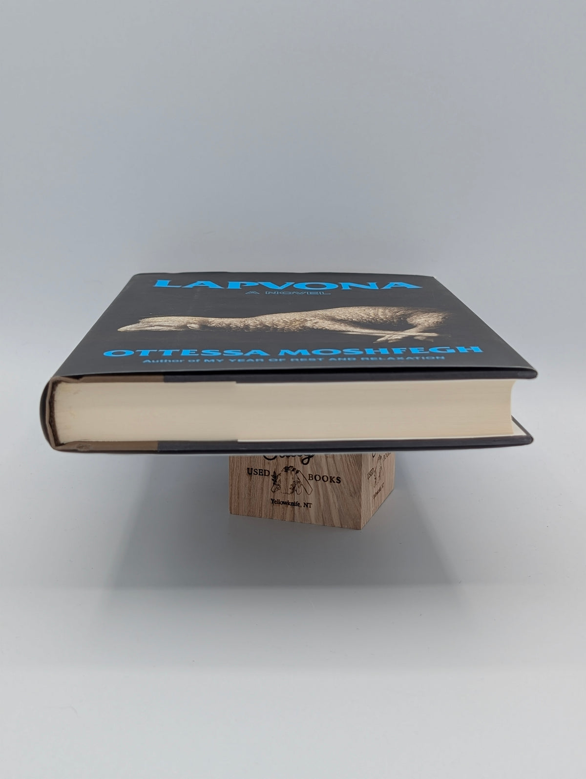 Lapvona: A Novel