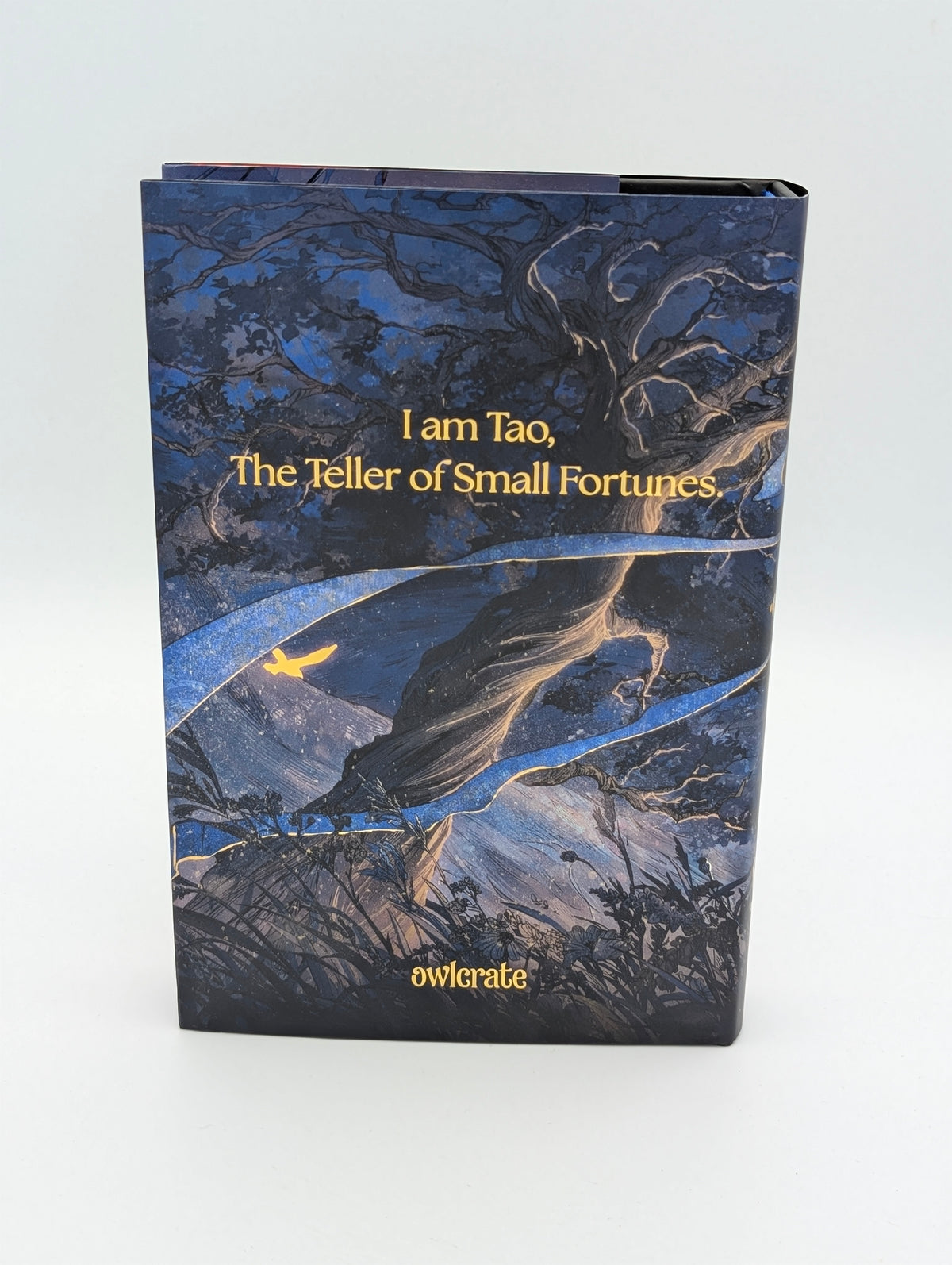 The Teller of Small Fortunes – OwlCrate SE; Fine