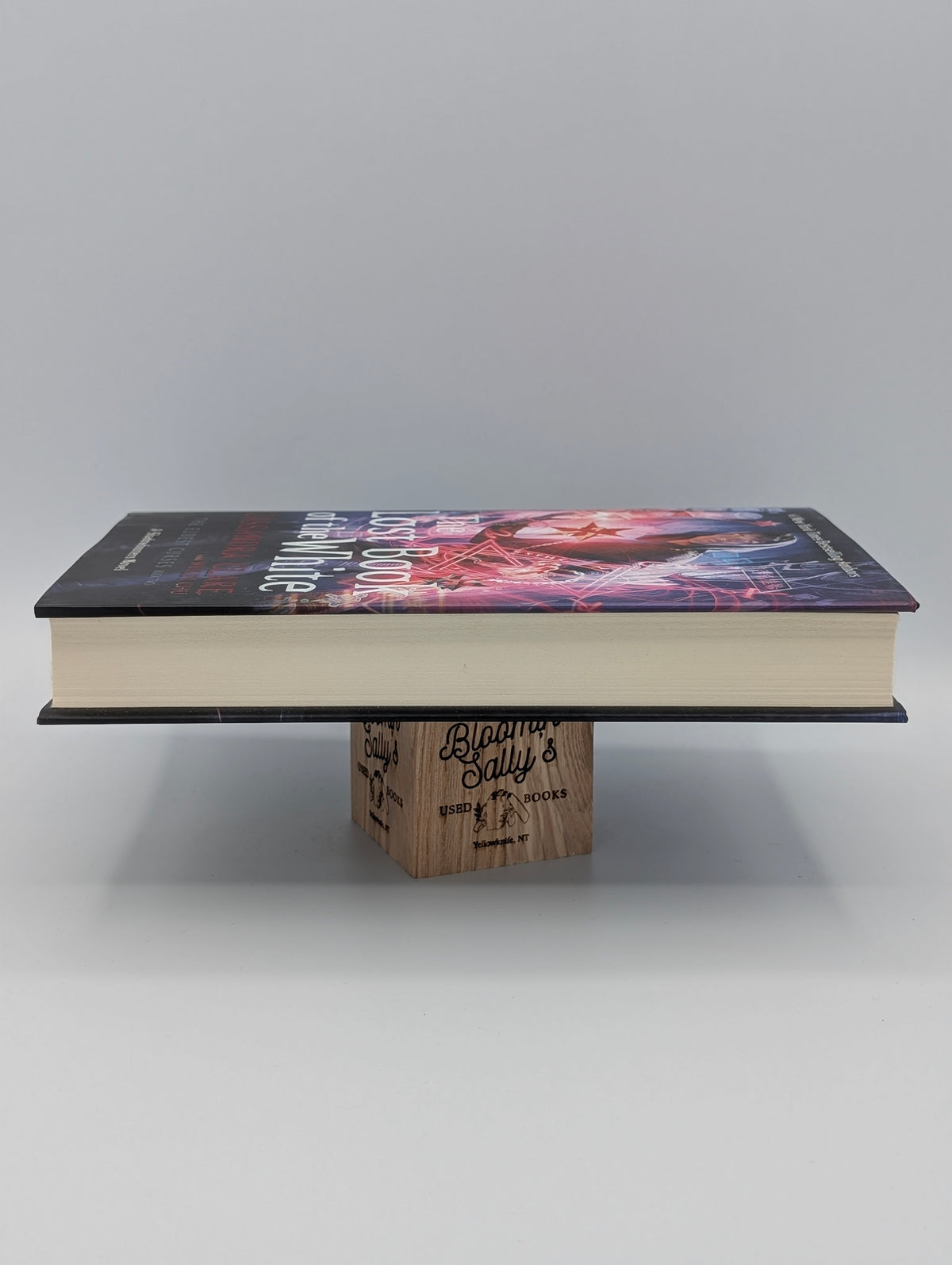 The Lost Book of the White (2) (The Eldest Curses)