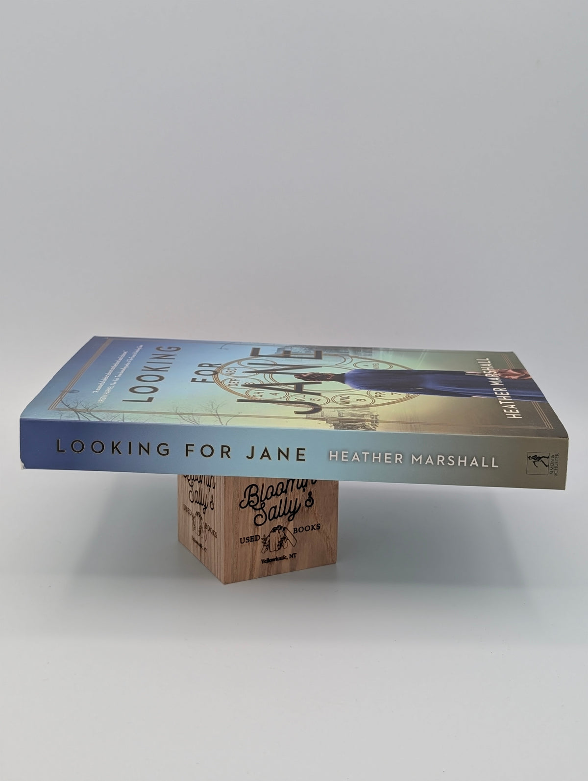Looking for Jane: A Novel