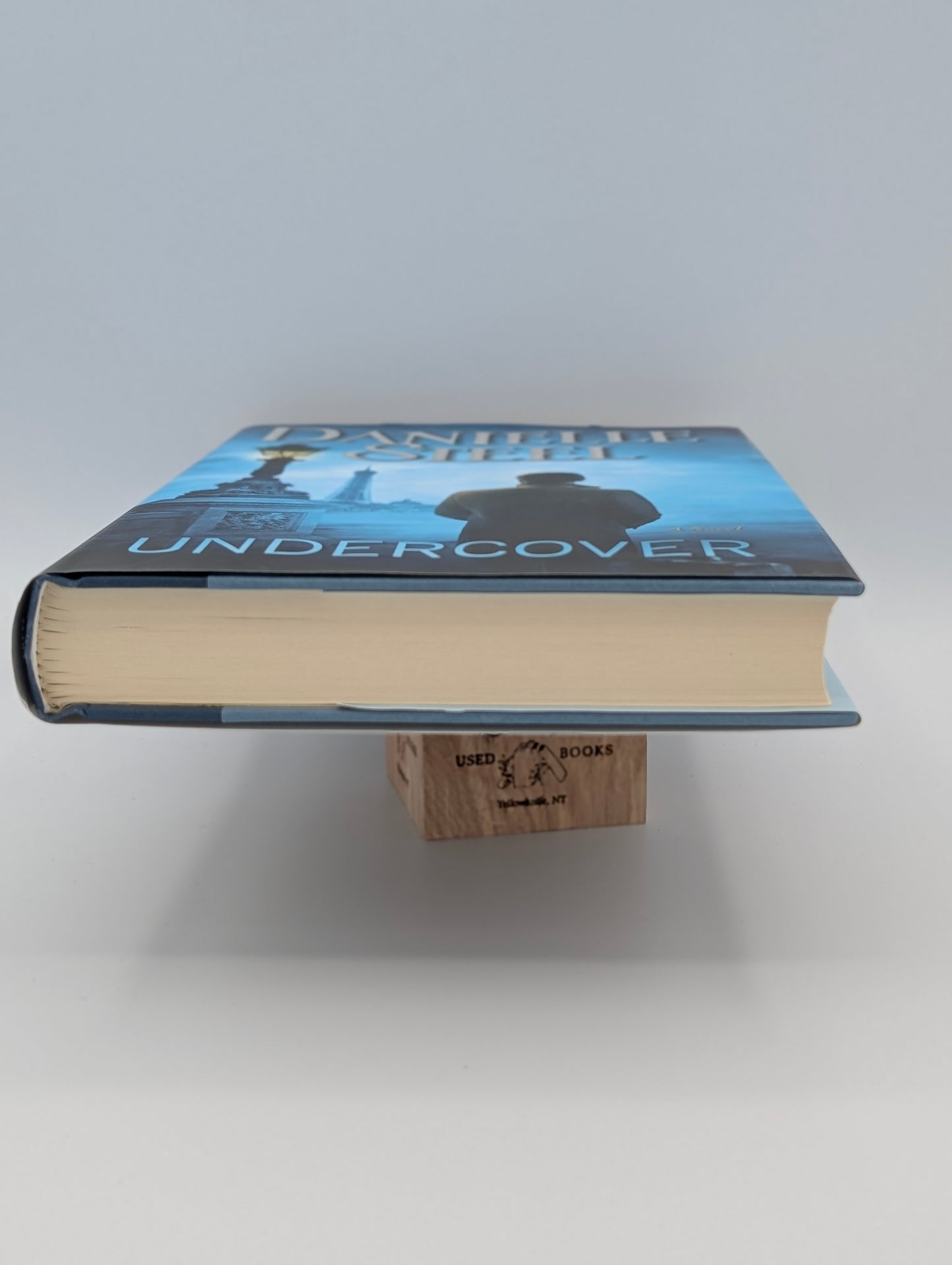 Undercover: A Novel