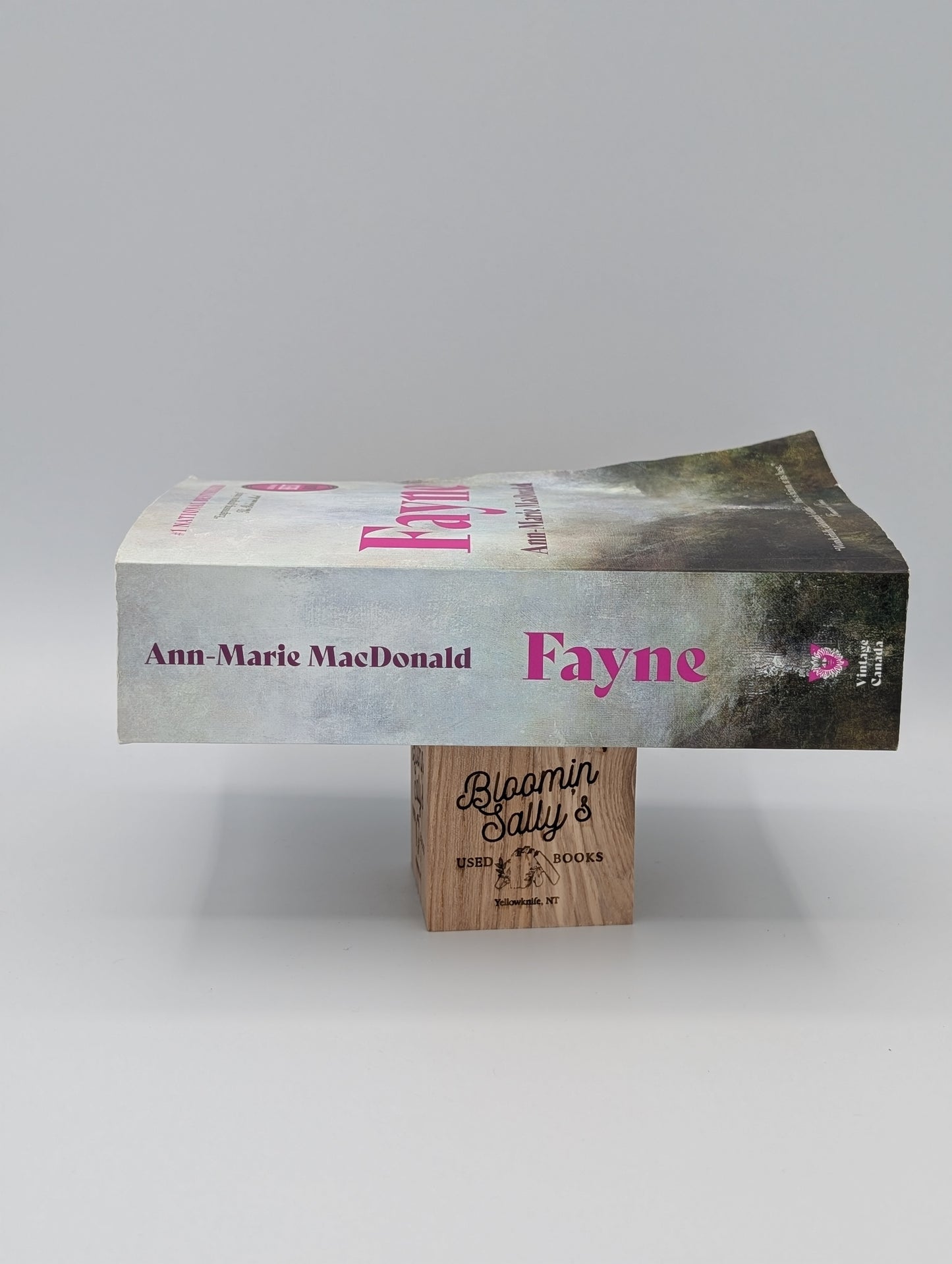 Fayne: A Novel