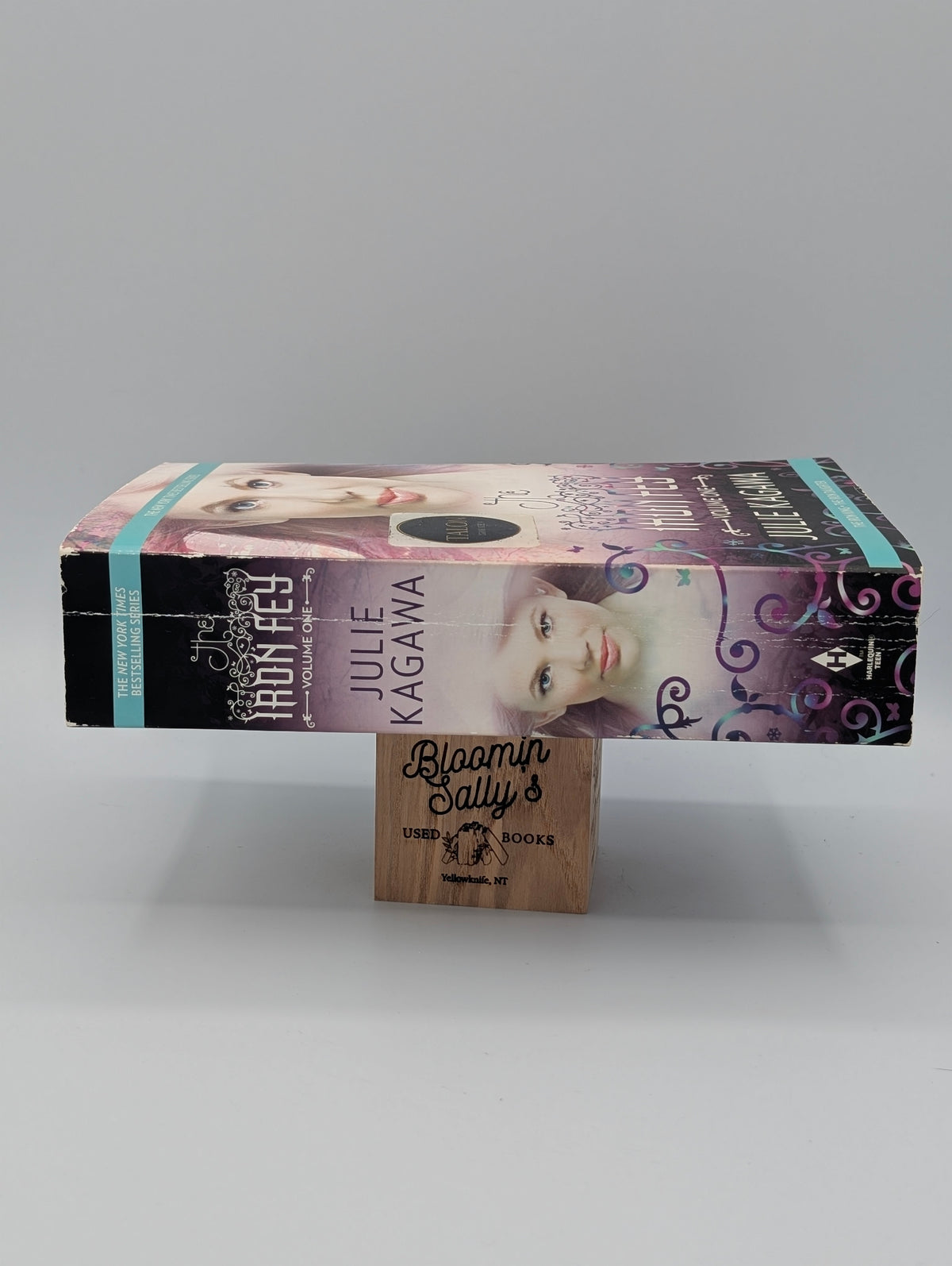 The Iron Fey Volume One: The Iron King and The Iron Daughter
