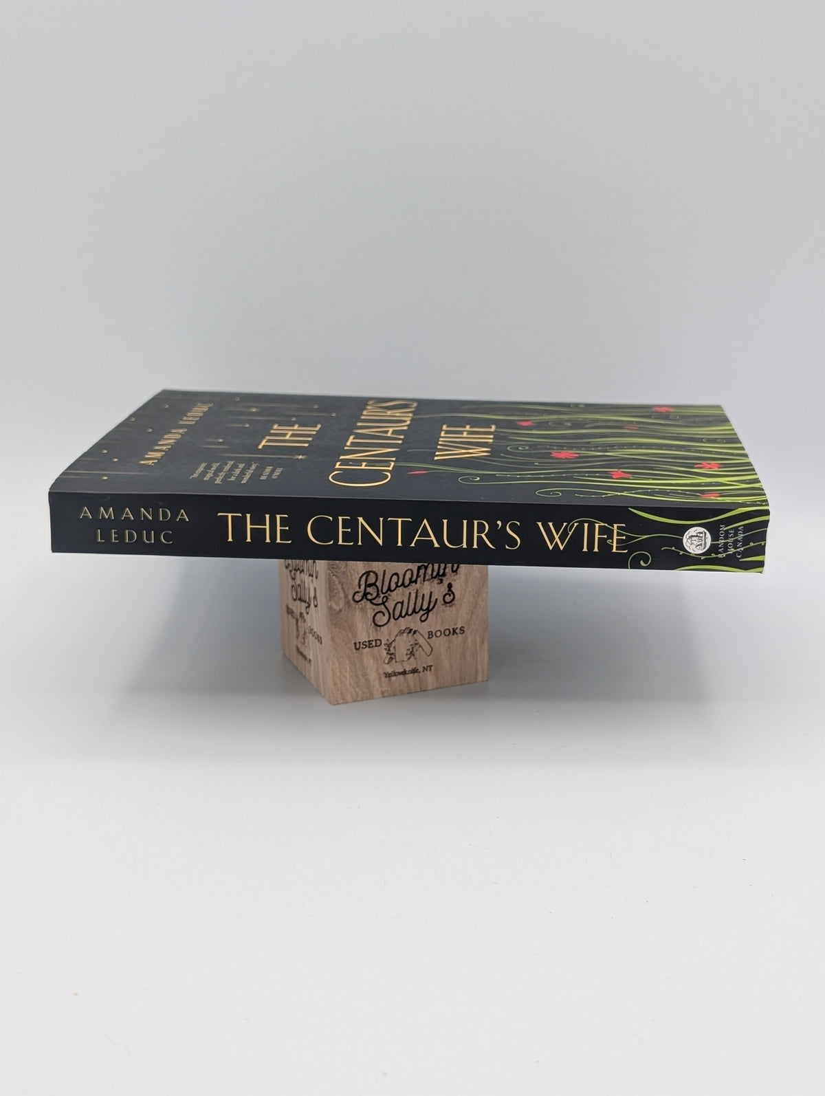 The Centaur's Wife