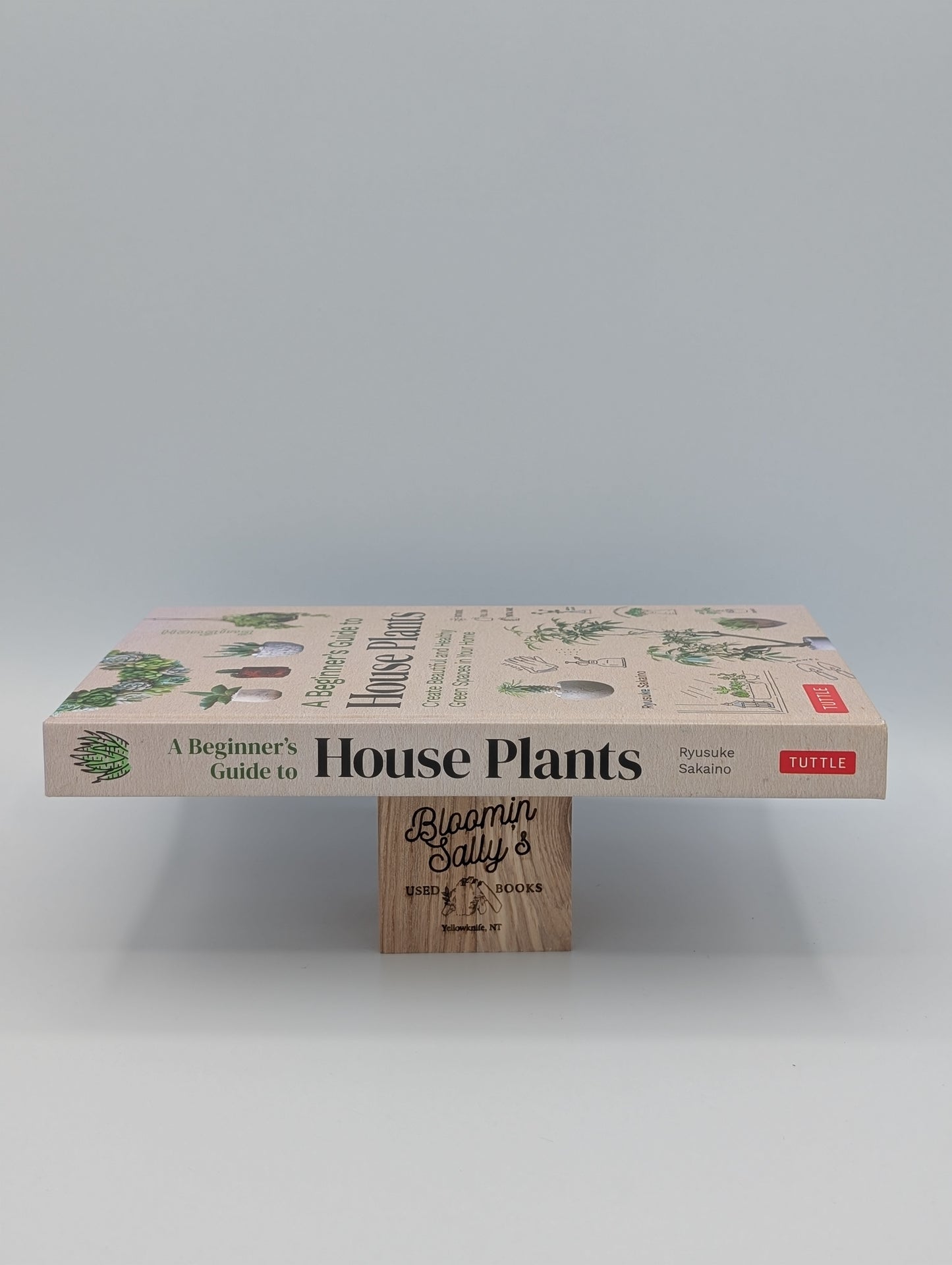 A Beginner's Guide to House Plants: Creating Beautiful and Healthy Green Spaces in Your Home