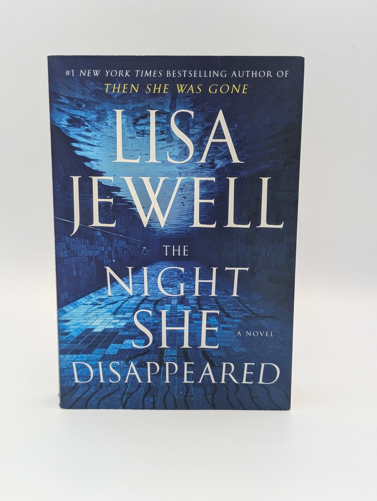The Night She Disappeared: A Novel