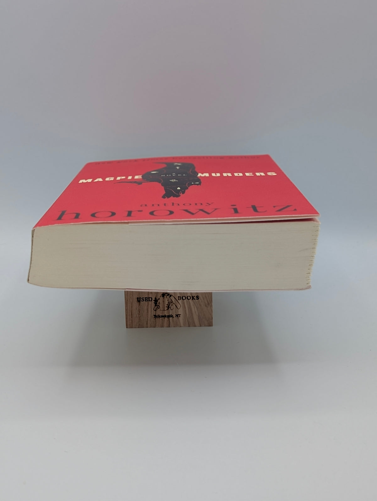 Magpie Murders: A Novel (Susan Ryeland Series, 1)