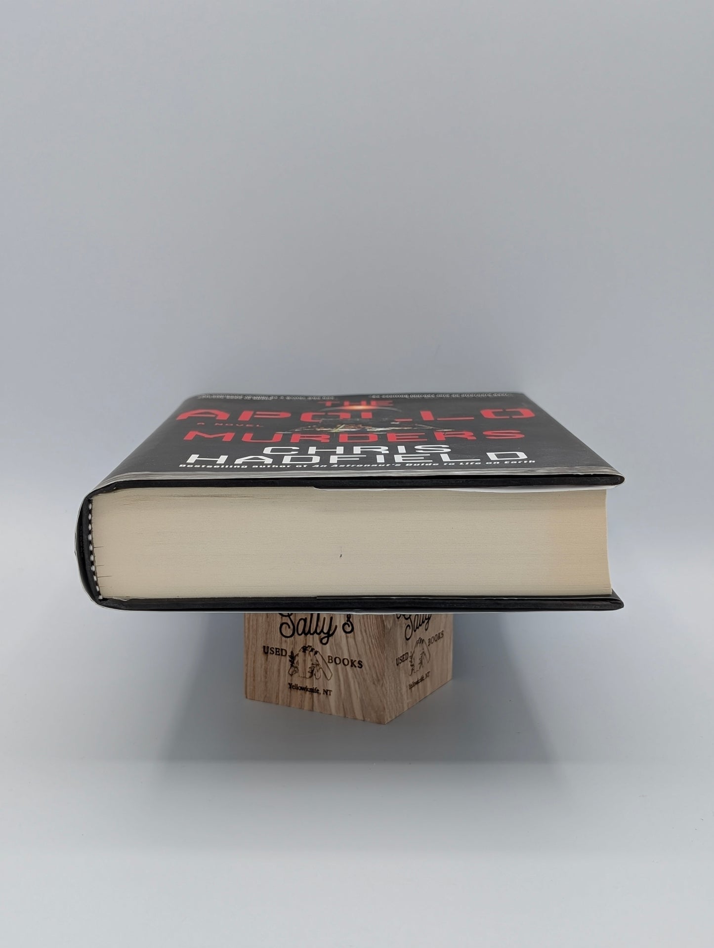 The Apollo Murders: A Novel
