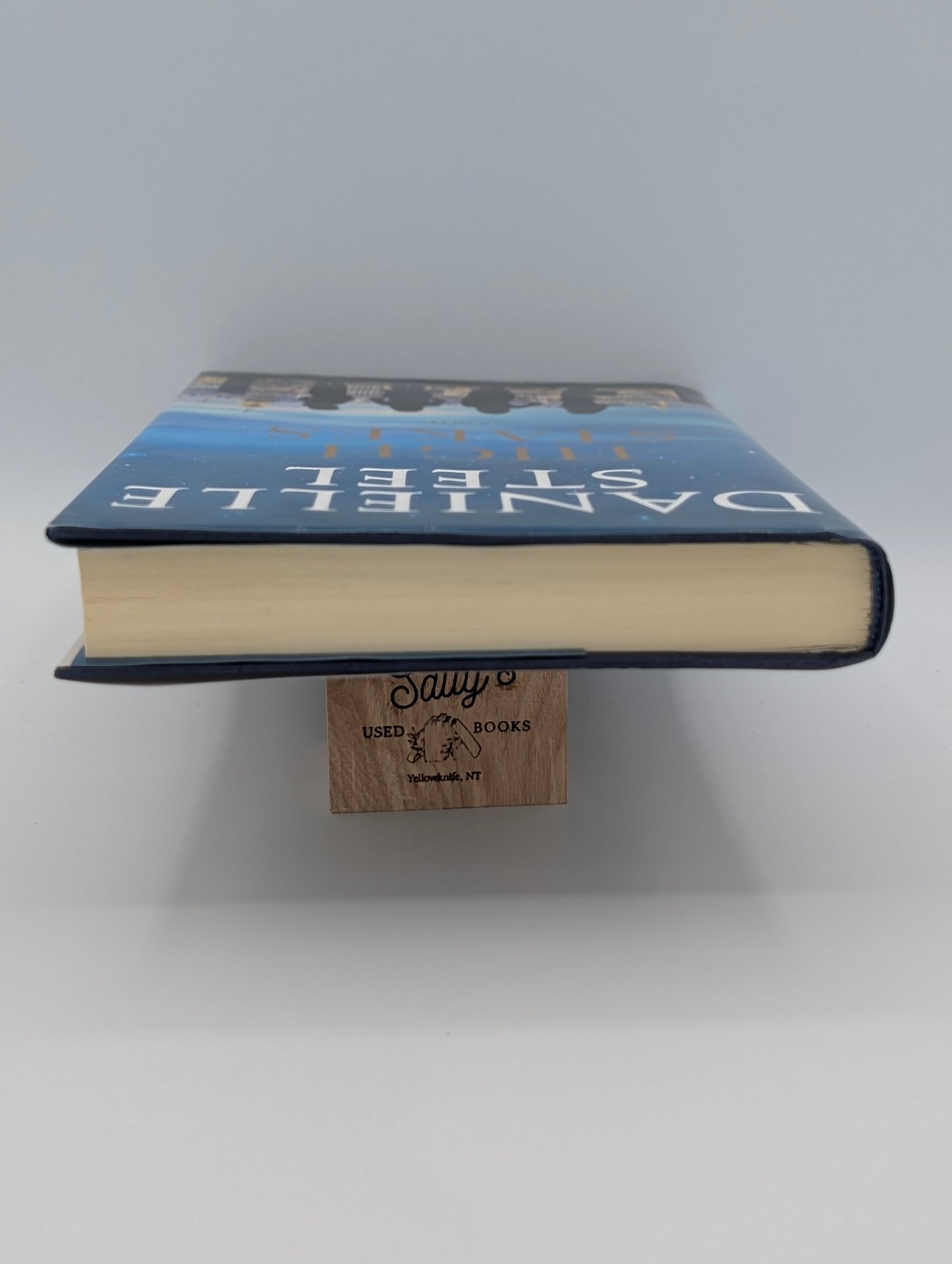 High Stakes: A Novel