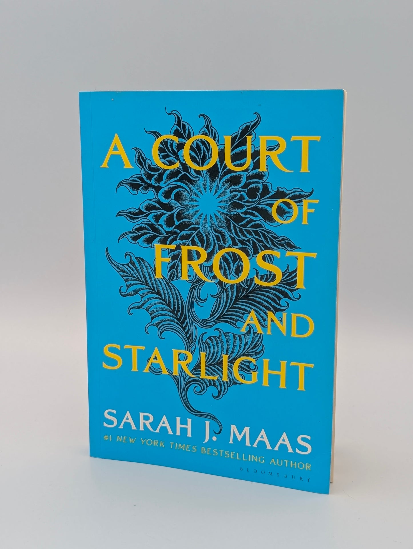 A Court of Frost and Starlight (A Court of Thorns and Roses, 4)
