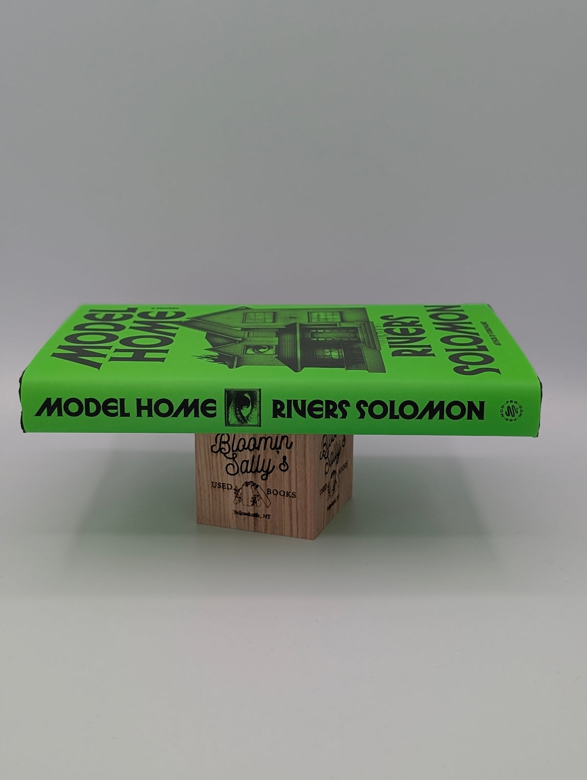 Model Home: A Novel