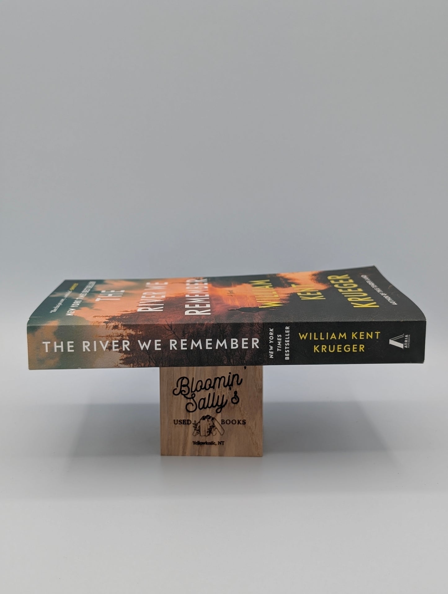 The River We Remember: A Novel