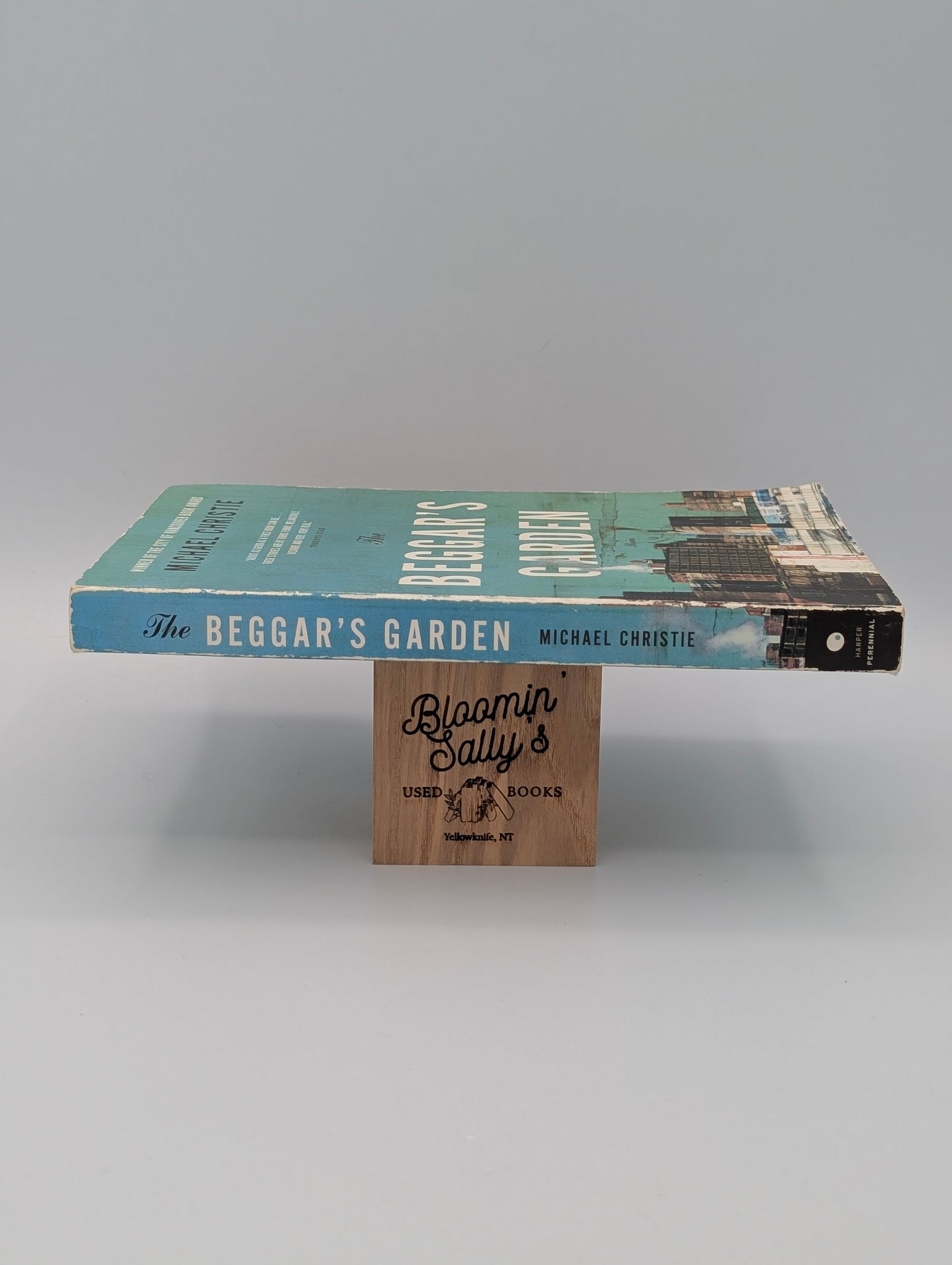 The Beggar's Garden: Stories, The