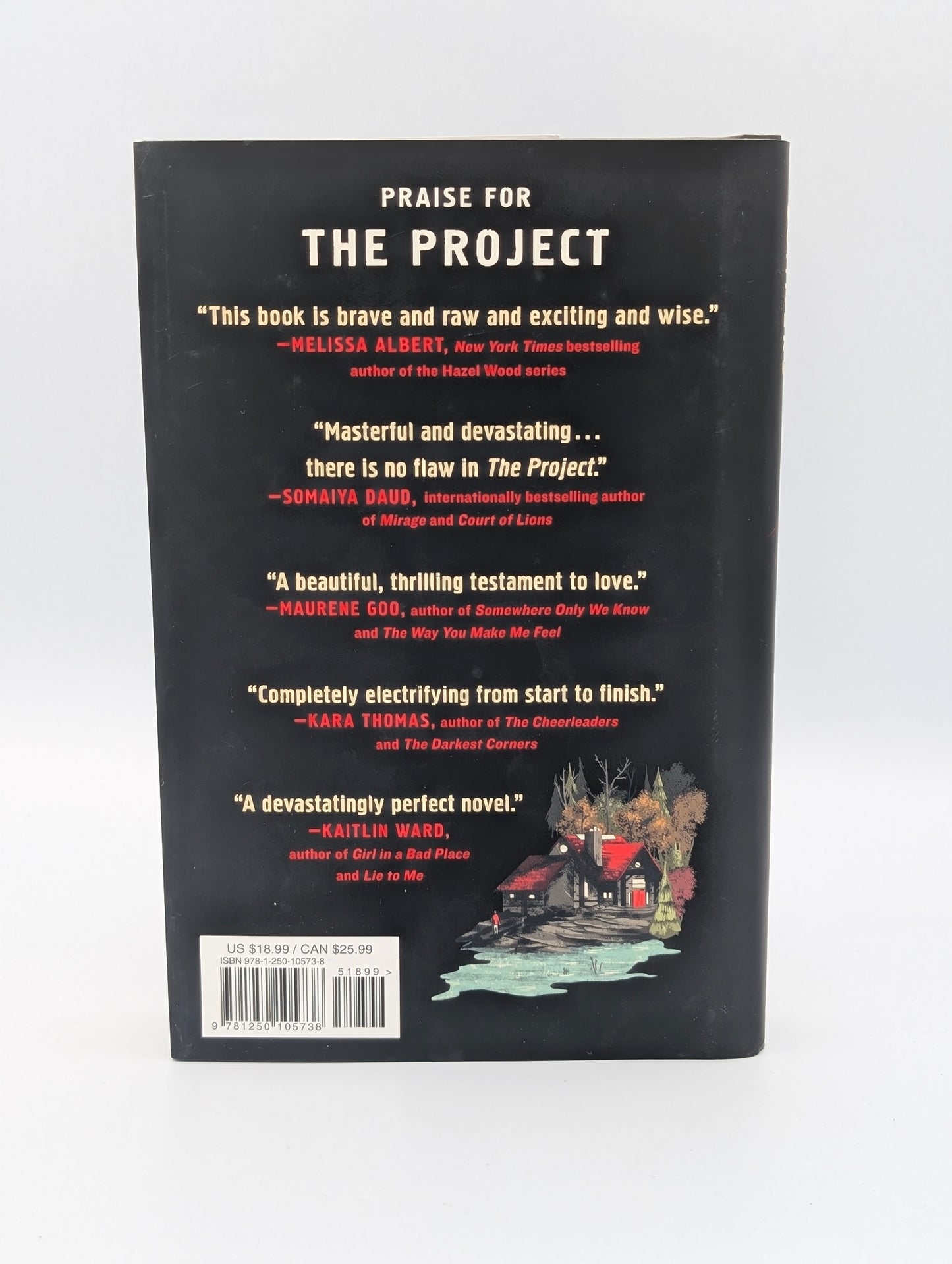 The Project: A Novel