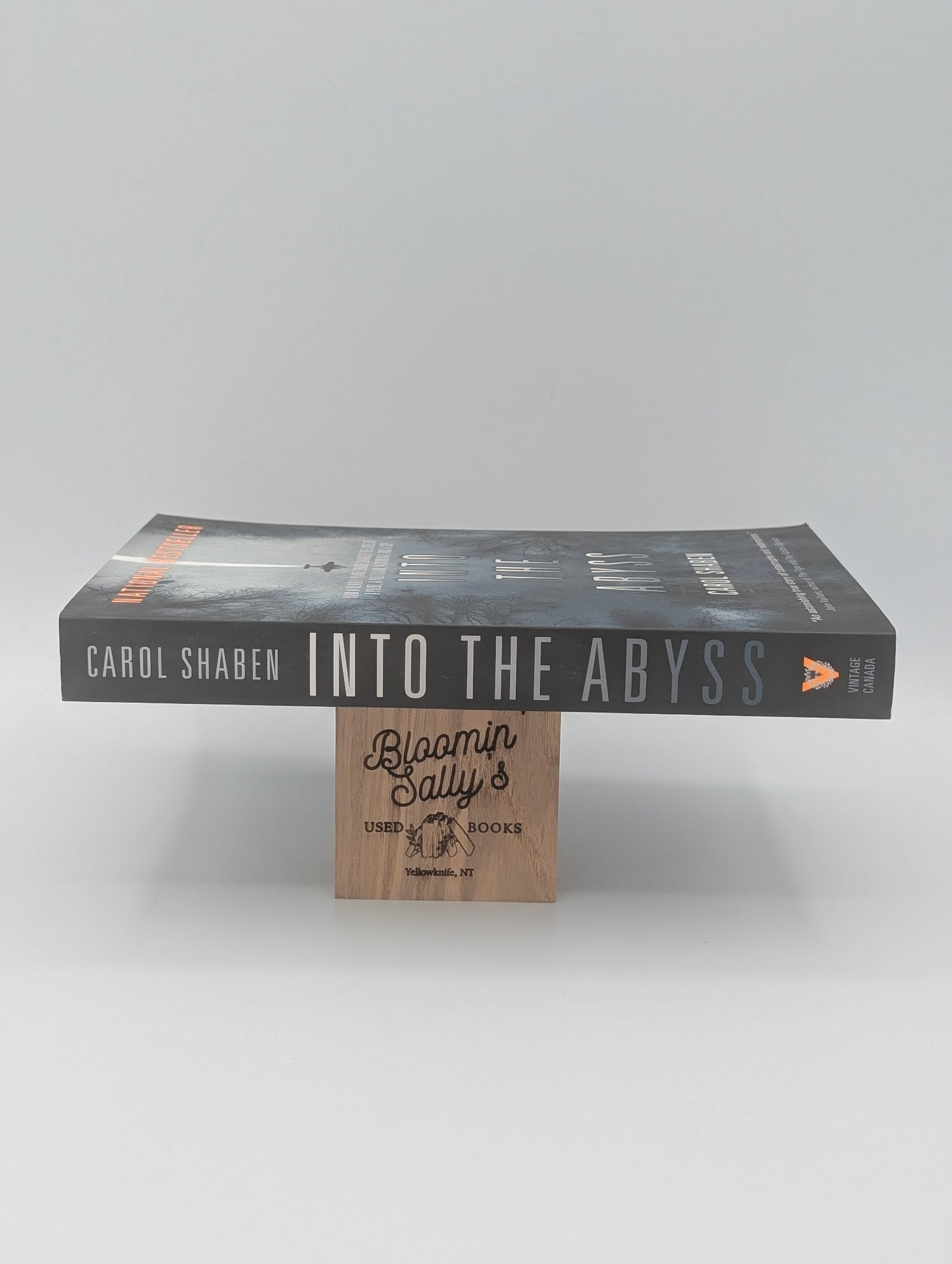 Into the Abyss: How a Deadly Plane Crash Changed the Lives of a Pilot, a Politician, a Criminal and a Cop