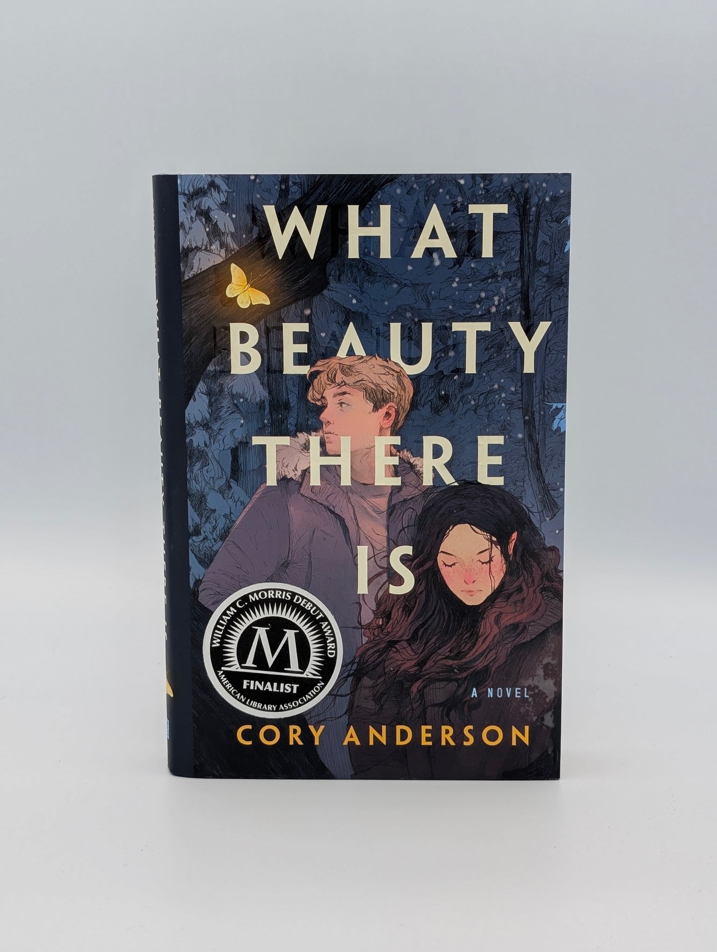 What Beauty There Is: A Novel