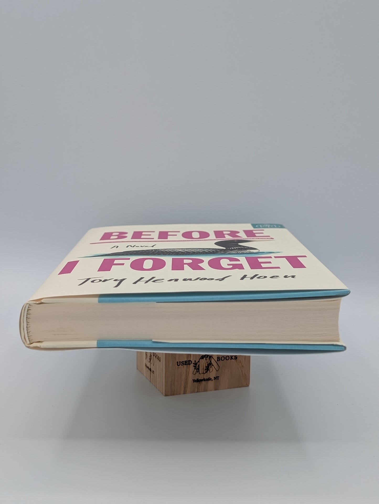 Before I Forget: A Novel (BOTM)