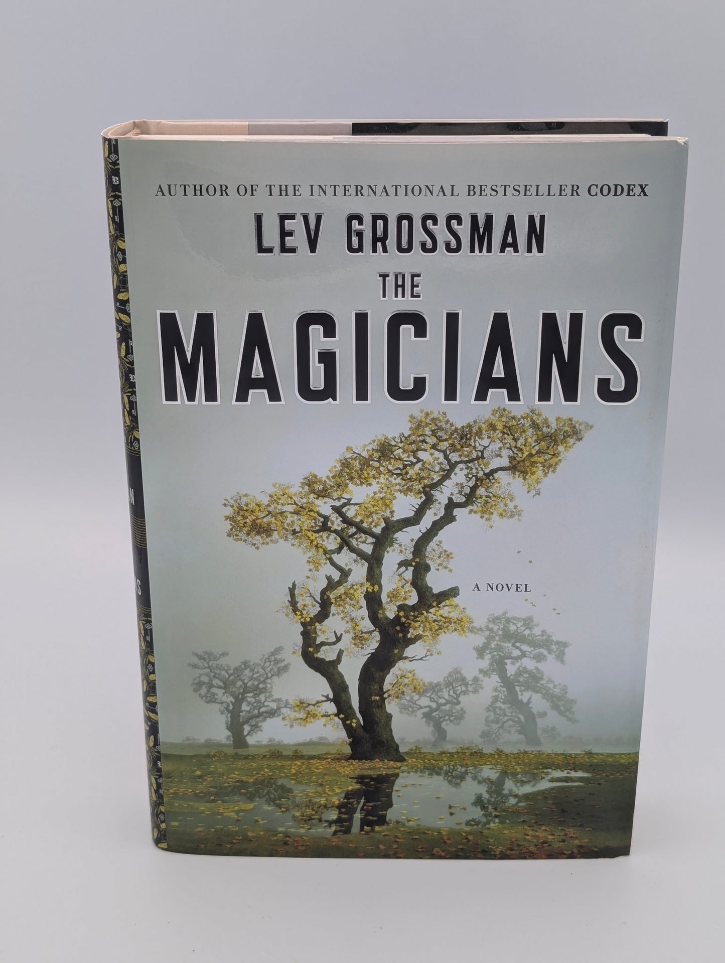 The Magicians: A Novel (Magicians Trilogy)