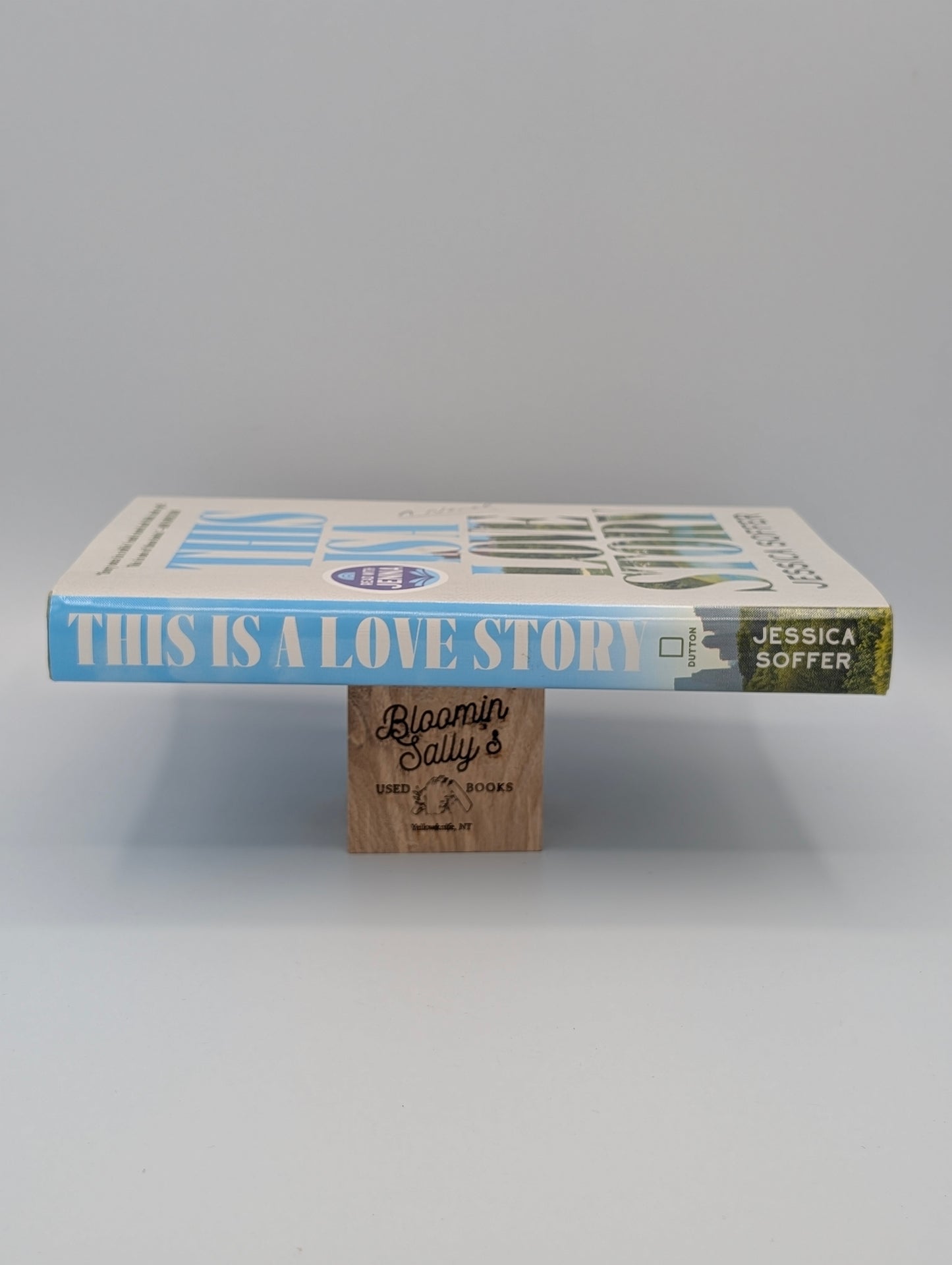 This Is a Love Story: A Novel (A Read With Jenna Pick)