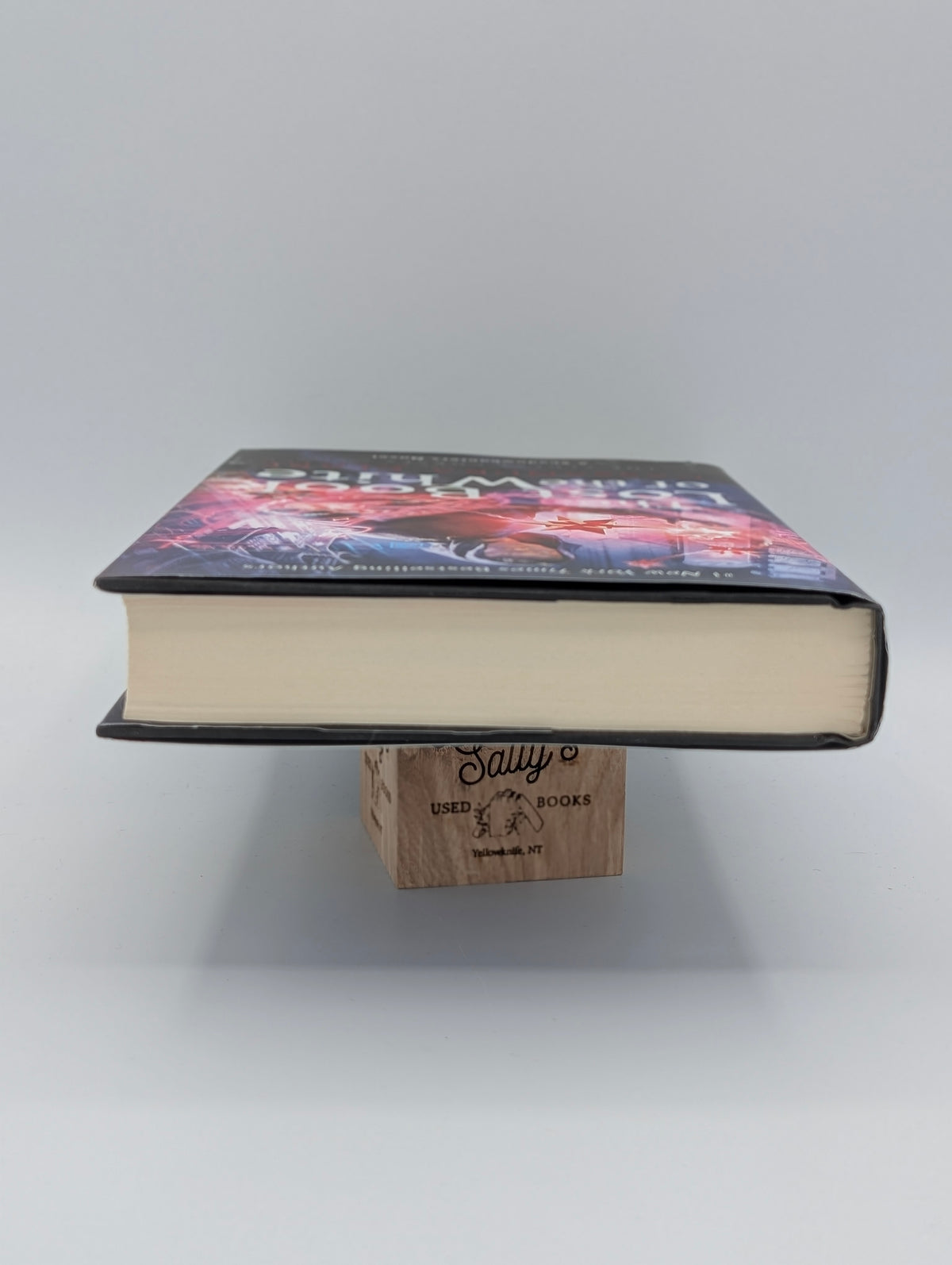 The Lost Book of the White (2) (The Eldest Curses)