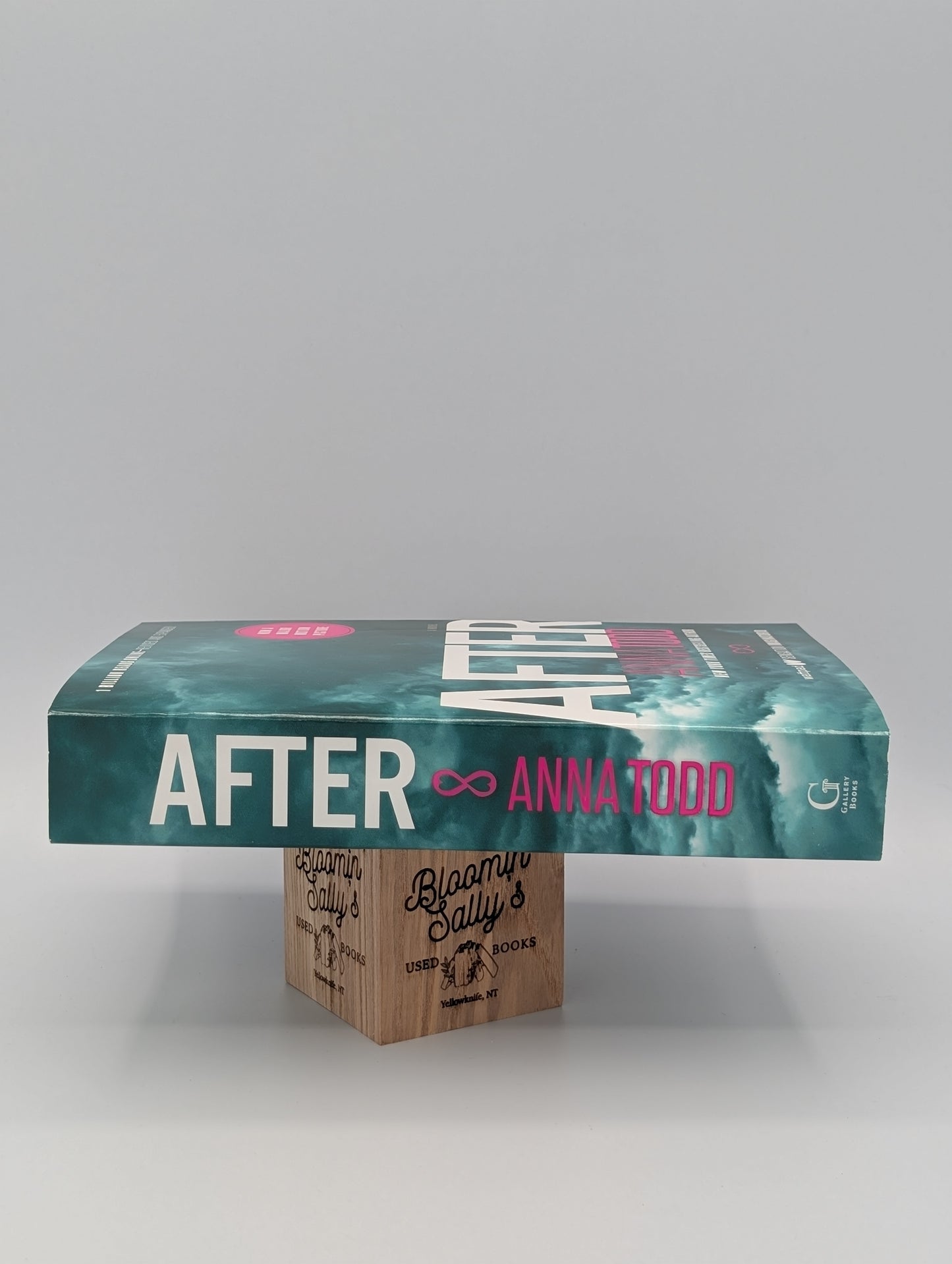 After (1) (The After Series)