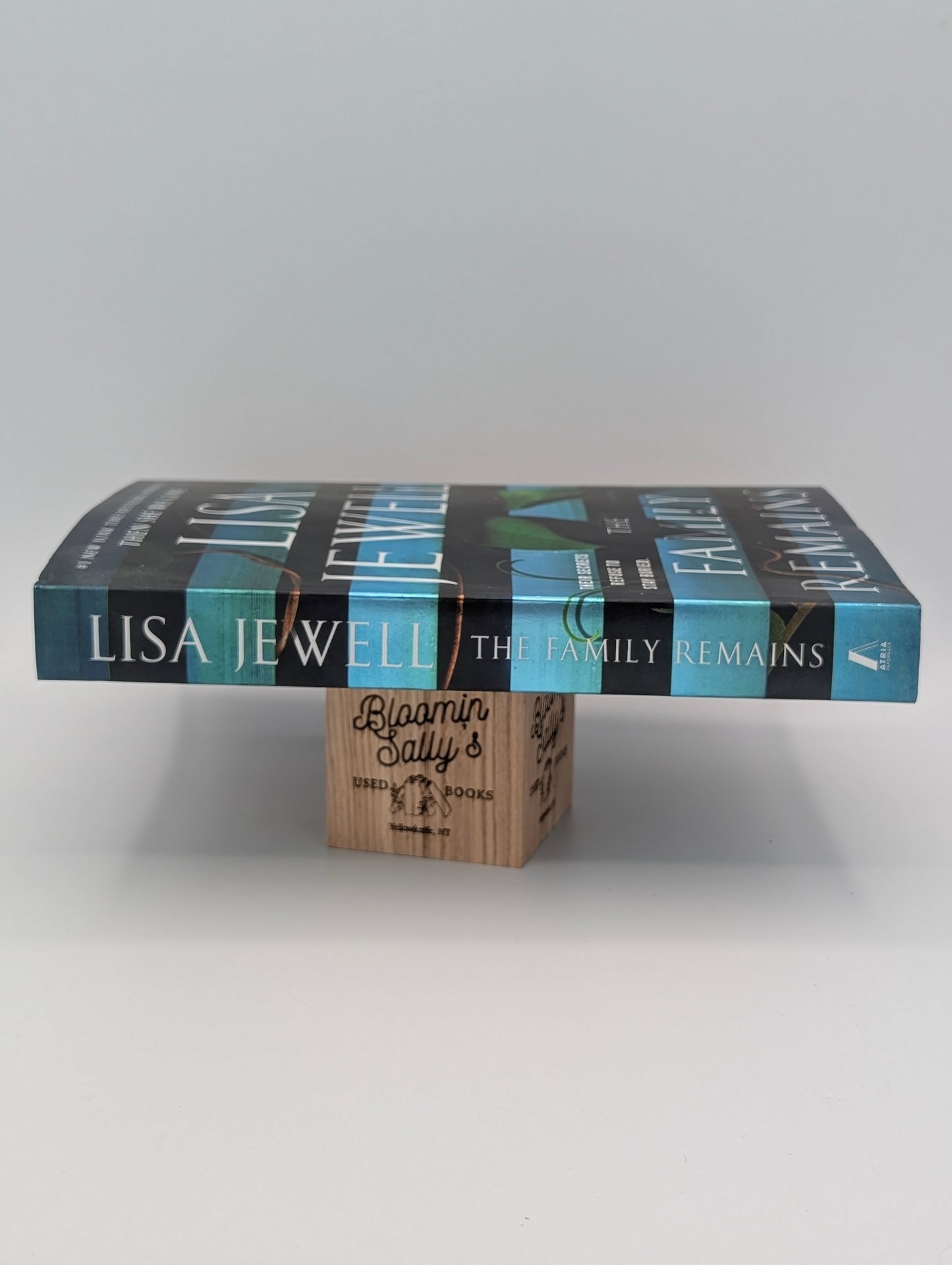 The Family Remains: A Novel