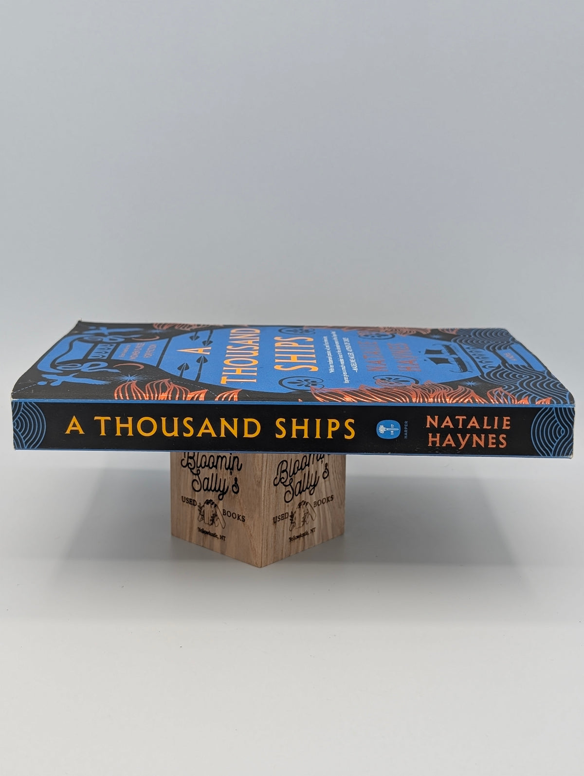 A Thousand Ships: A Novel