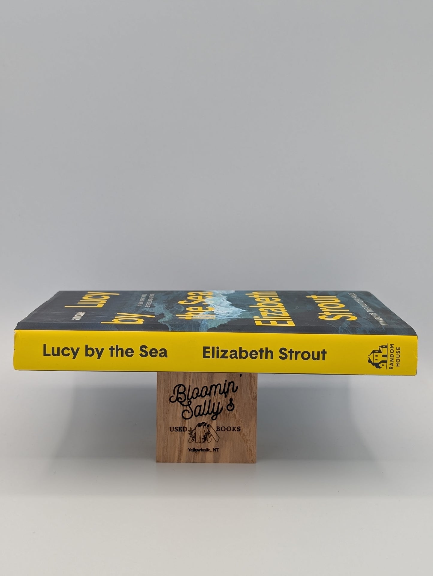 Lucy by the Sea : Un roman