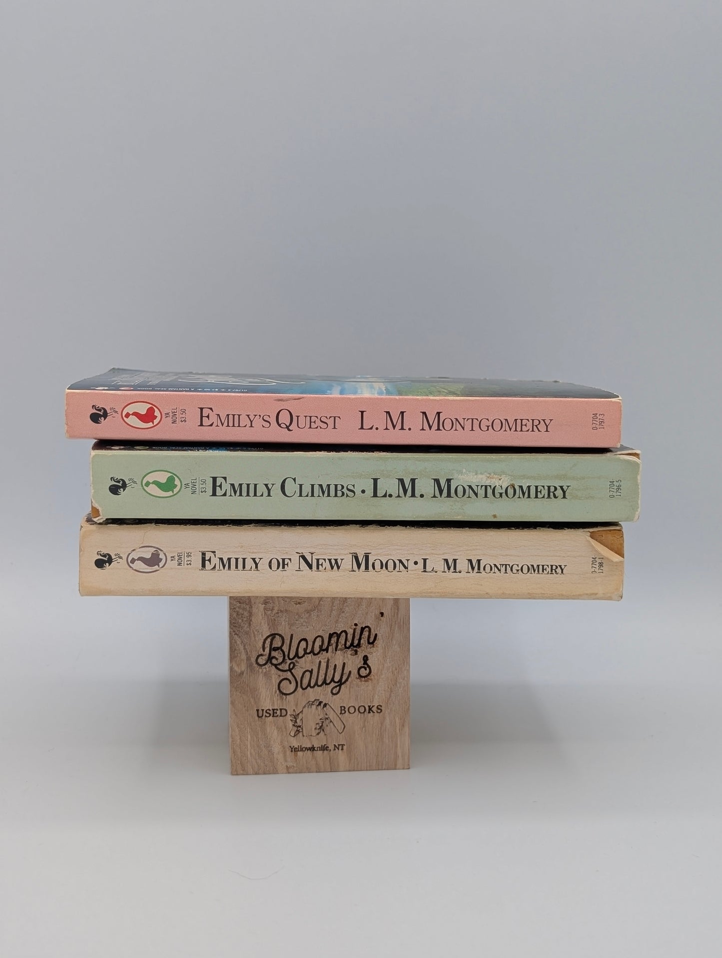 Emily of New Moon Bundle