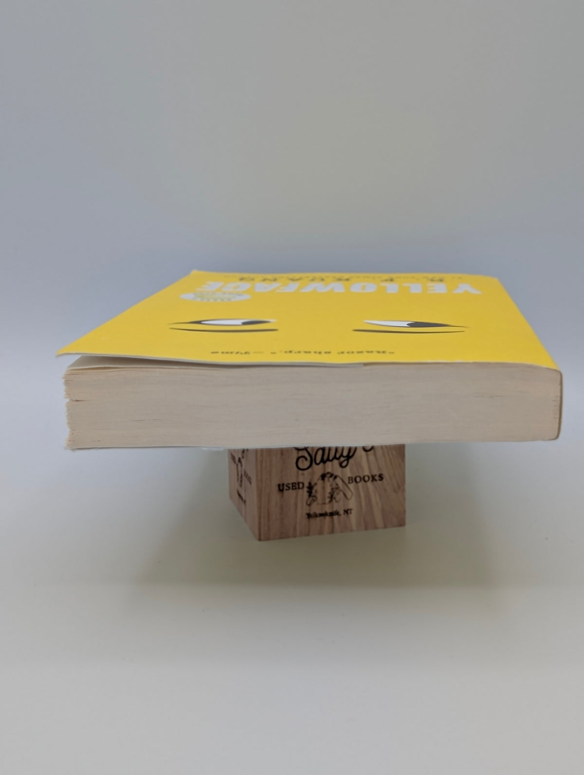 Yellowface: A Novel